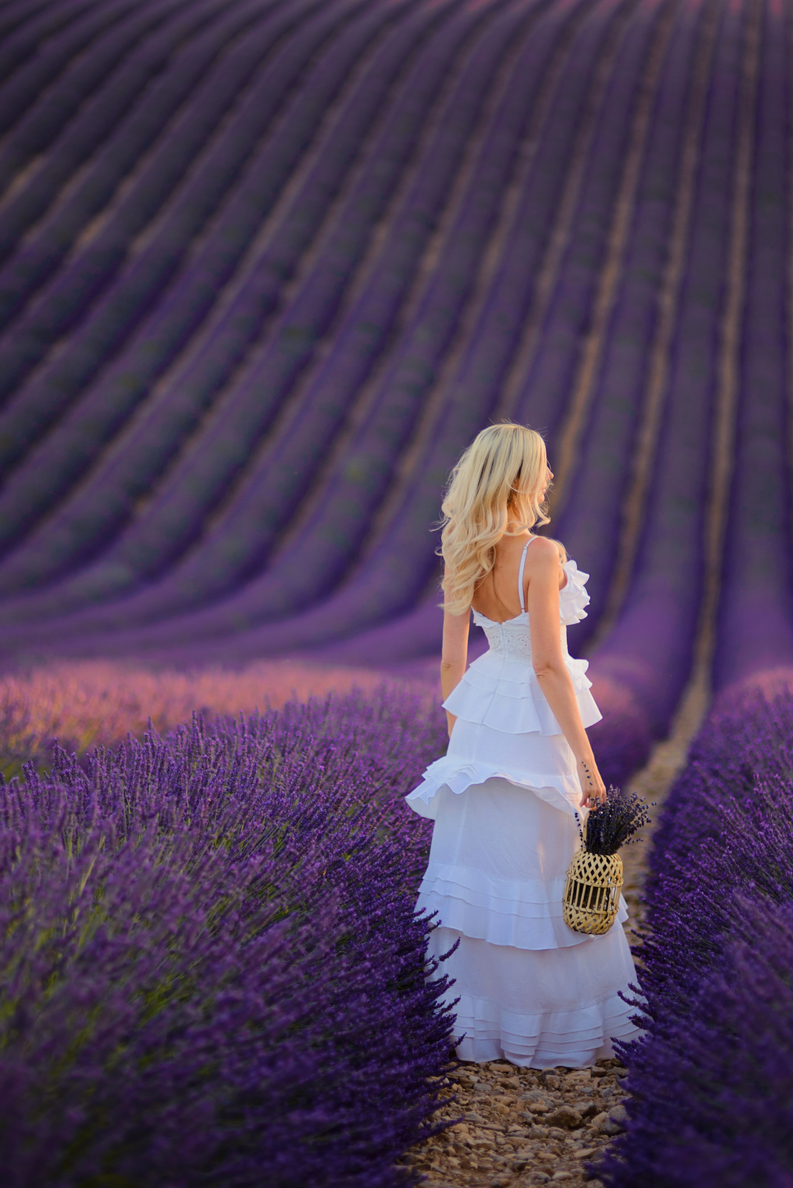 Lavender. Photographer in Provence Julia Lipiainen