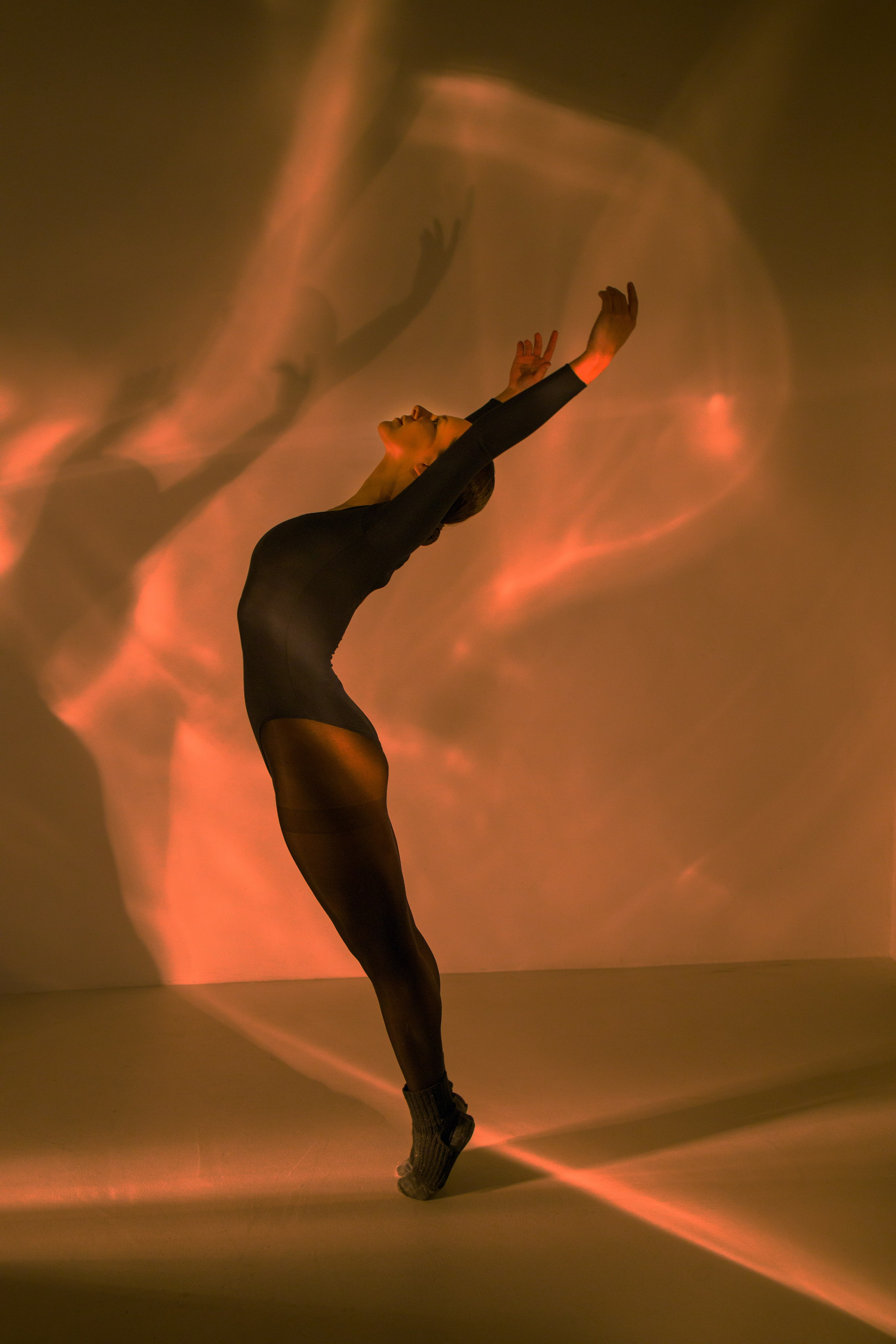 Лилия. Художественная фотография