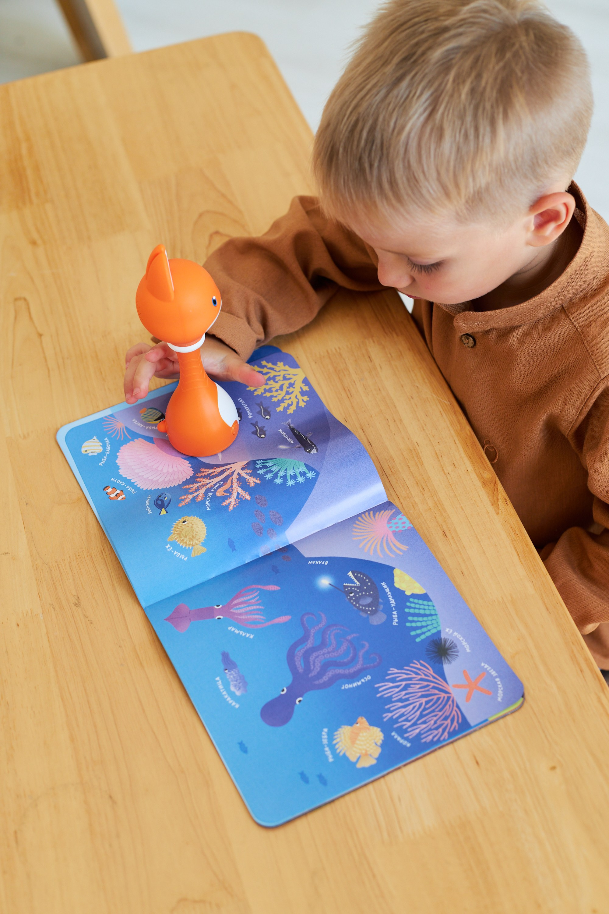 Alilo.Part 4. Коммерческий фотограф Алена Федорова. Санкт-Петербург