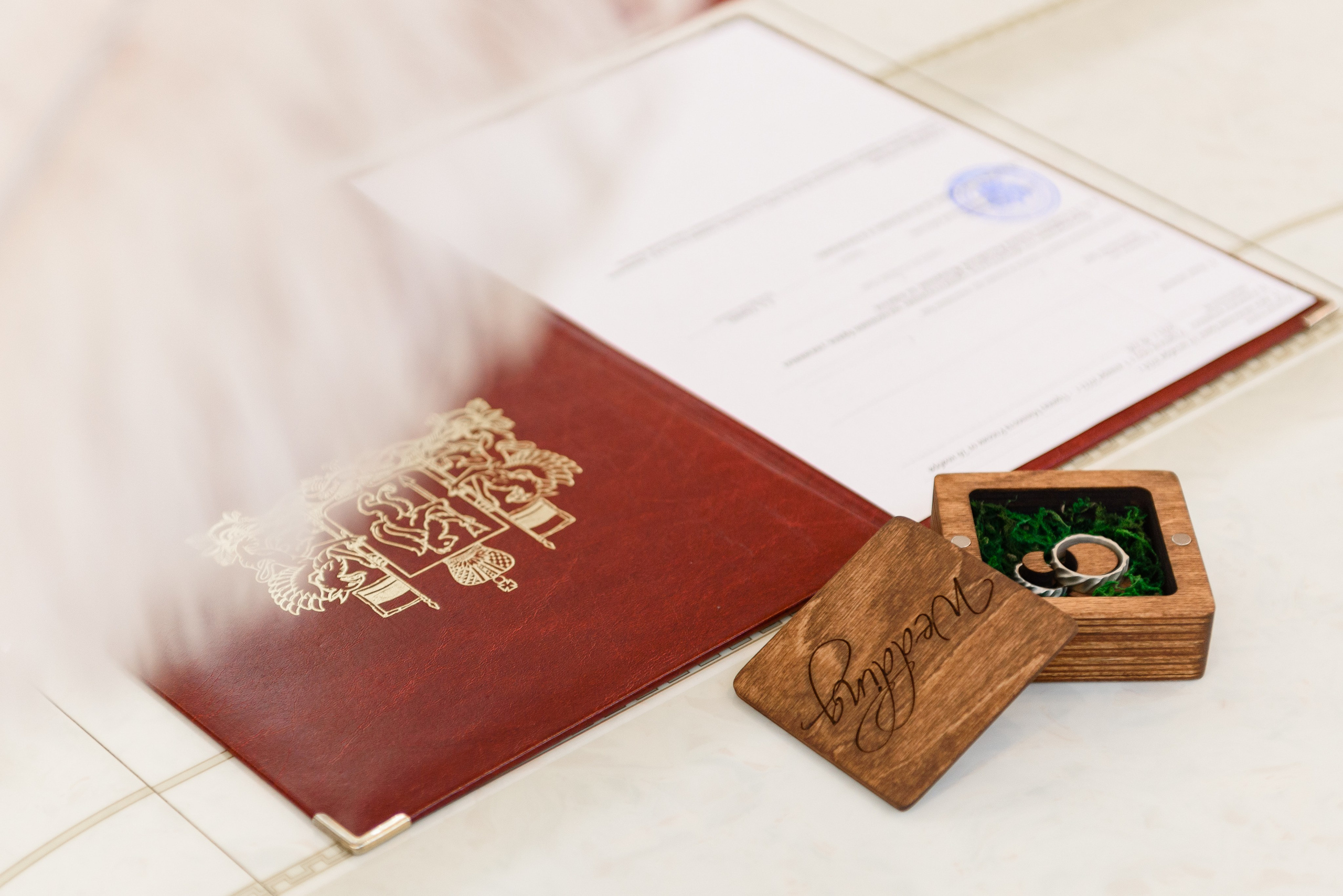 Регистрация брака Алены и Глеба. Фотограф Андрей Балыкин