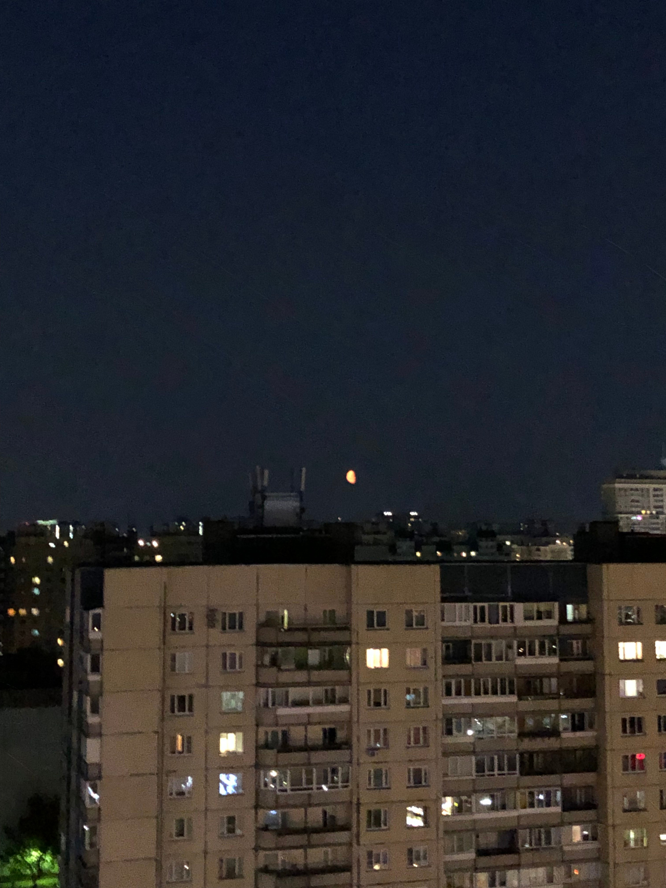 Август. Семейный, Свадебный фотограф СПБ Питер— Романова Екатерина