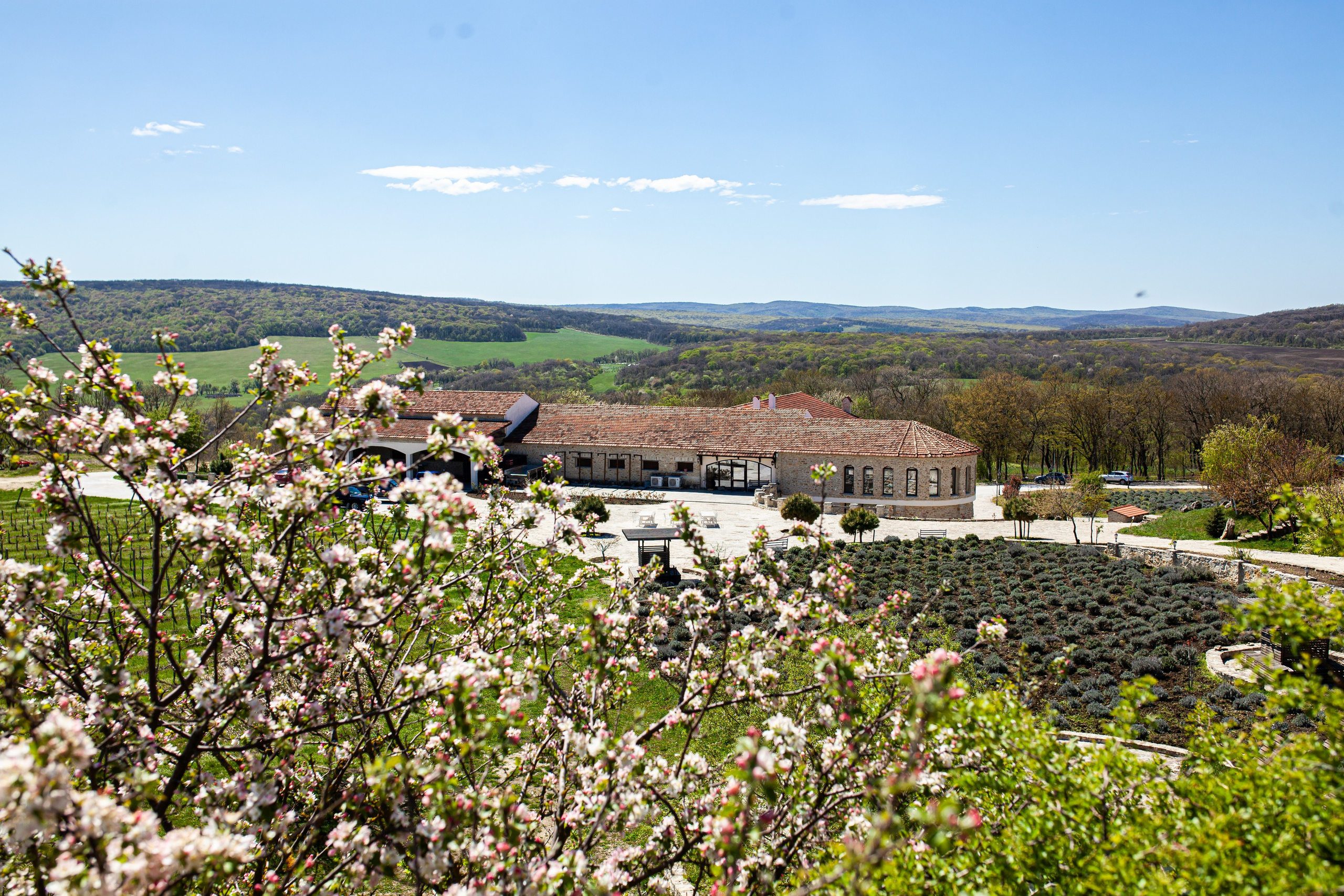 Фотосессии в Шато Андре — фотограф Аркадий Славский