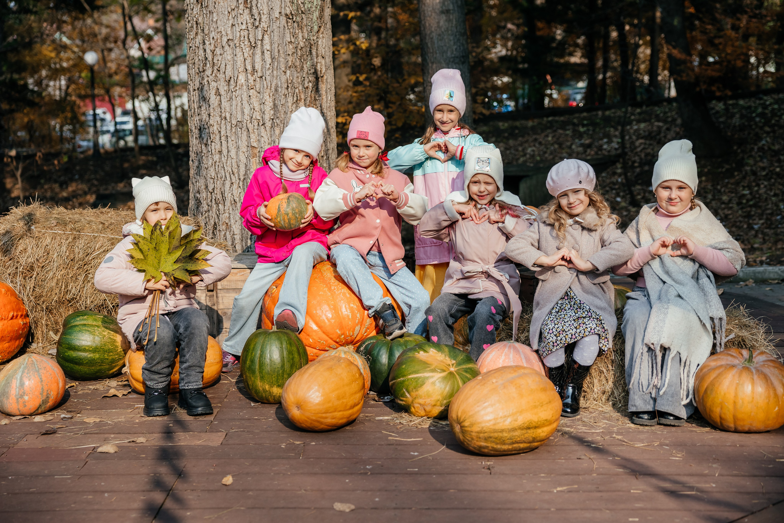 Фото. Фотограф Александра