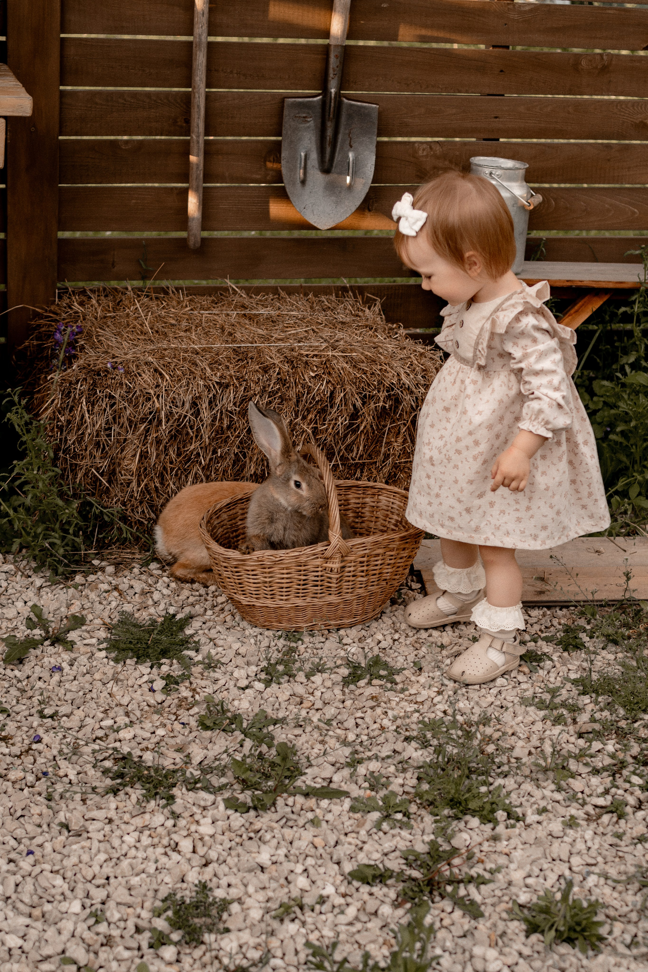 Беременность. Свадебный и семейный фотограф в Серпухове Александра Дерюшева