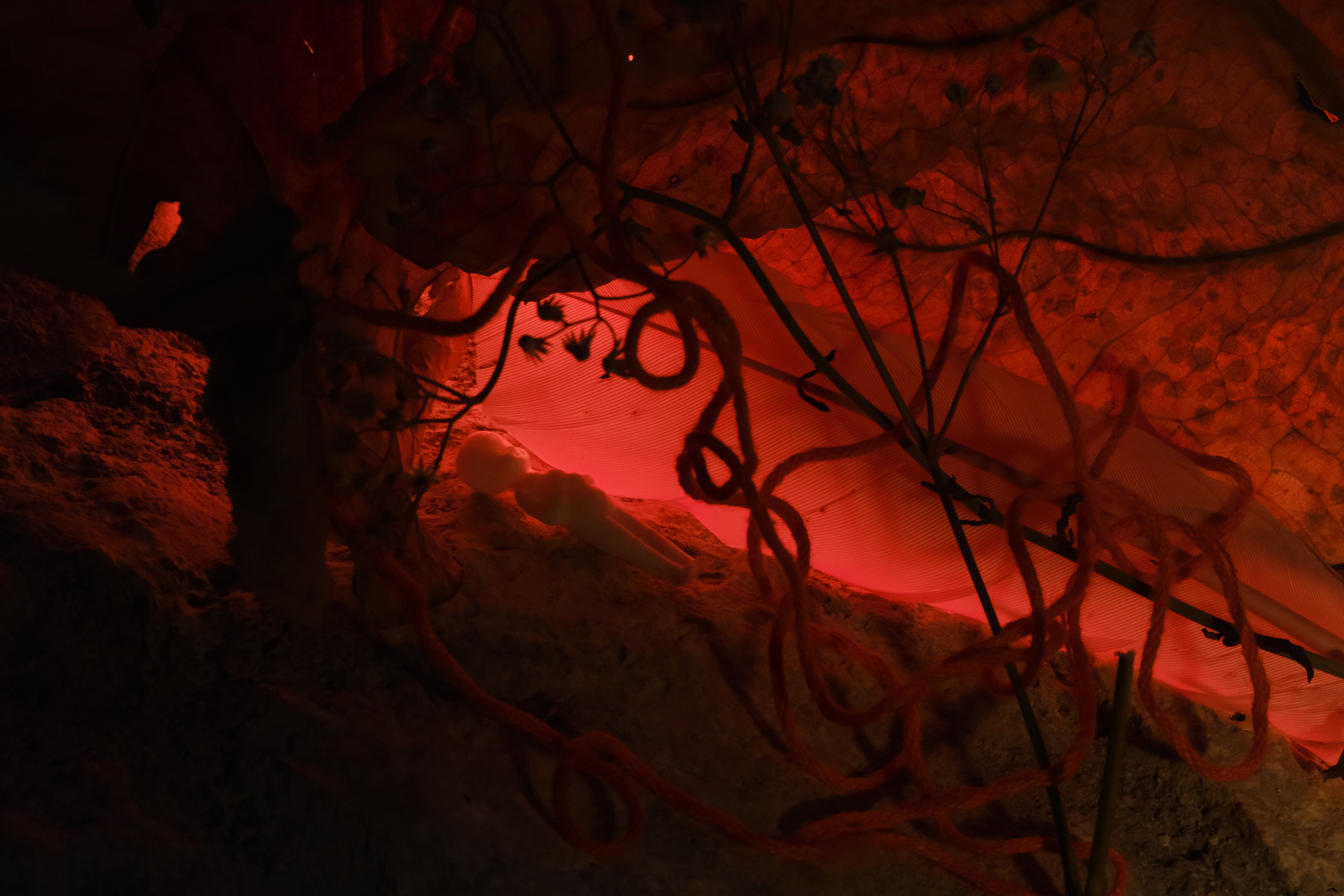 Margarita Rodionova — a contemporary lens-based artist currently working in Cancun, Mexico