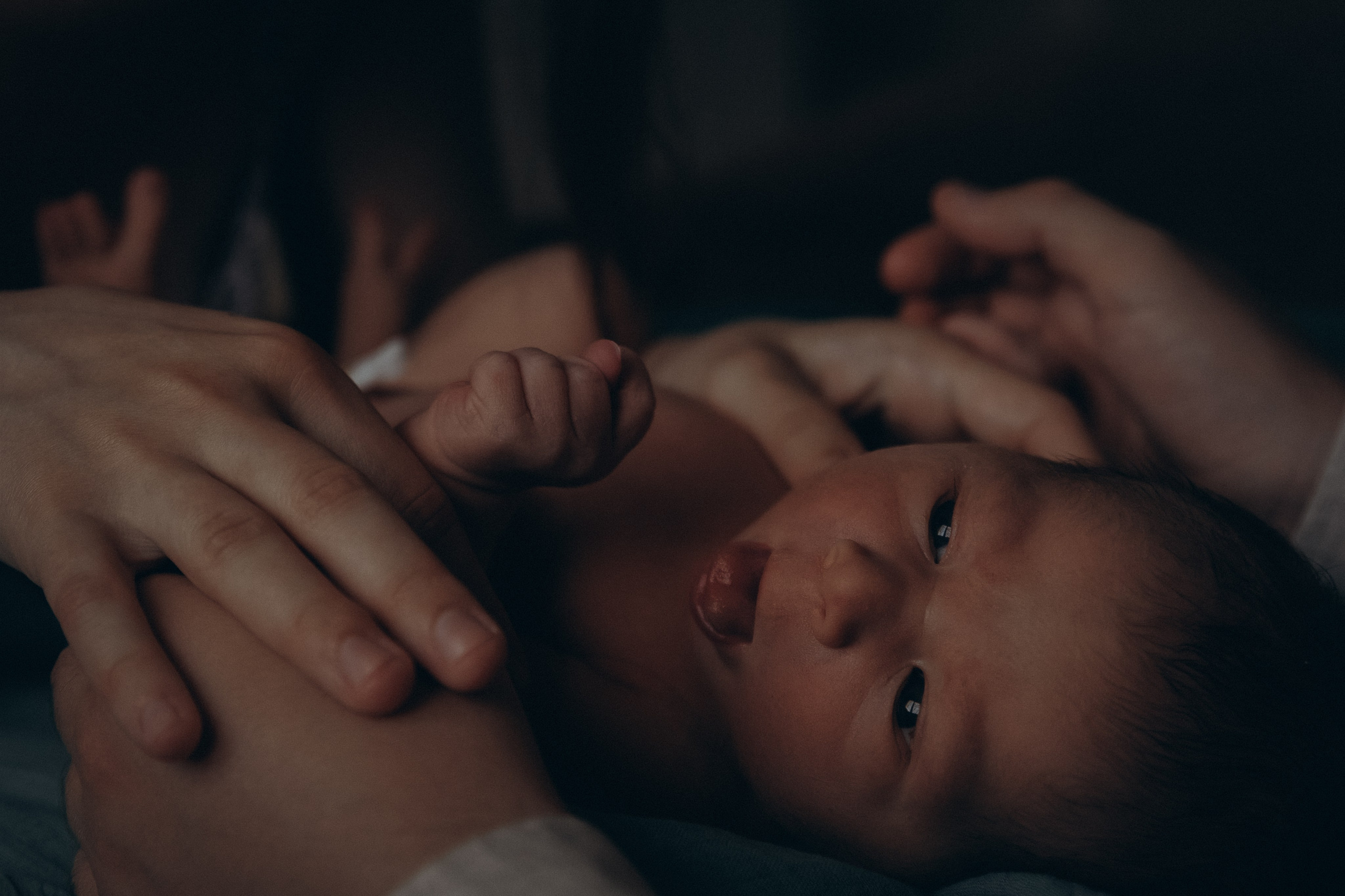 Новый человек в доме. Фотограф  Челябинск Варвара Шарапова