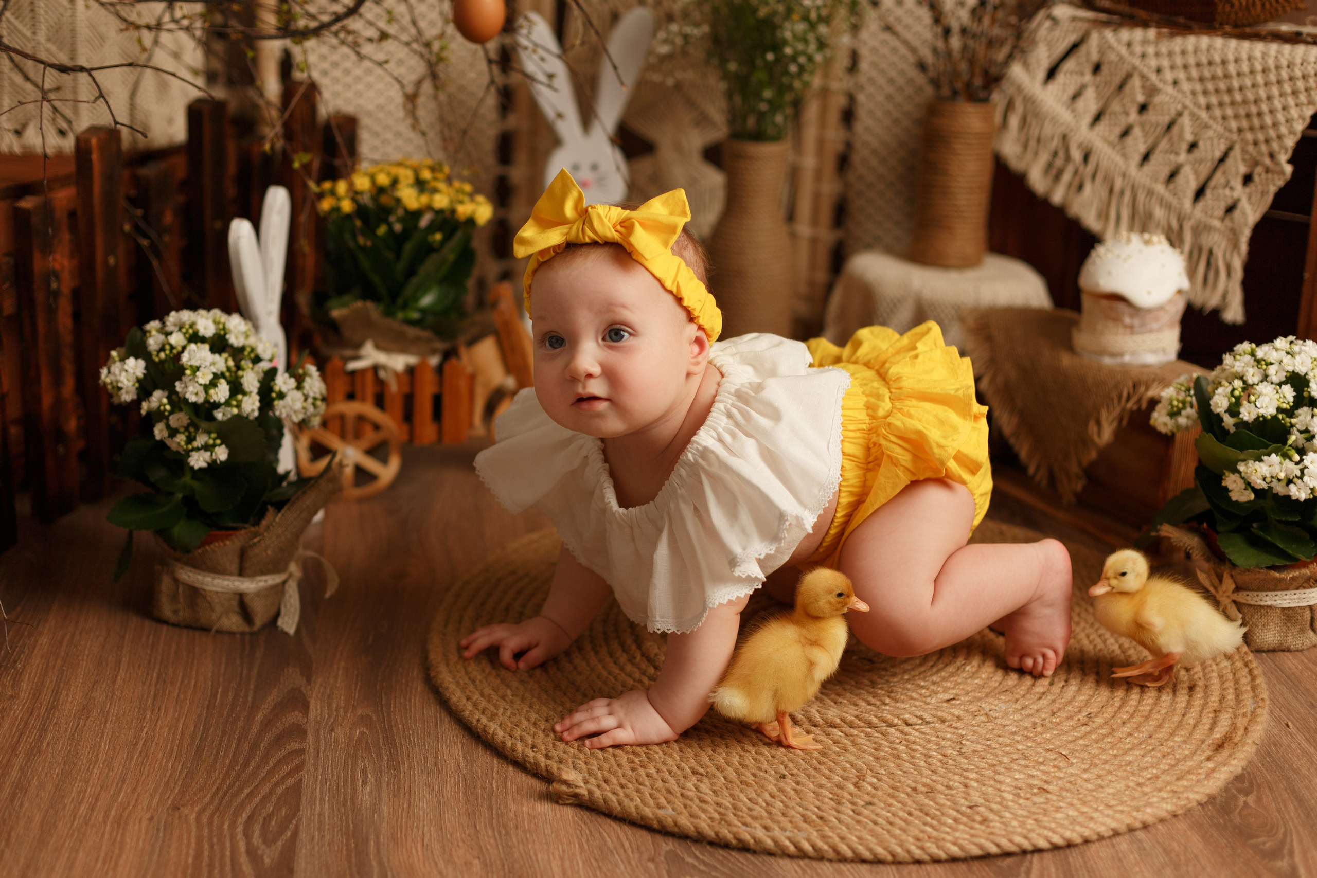 Фотопроекты. Фотограф новорождённых семейный фотограф Томск Елена Каплина