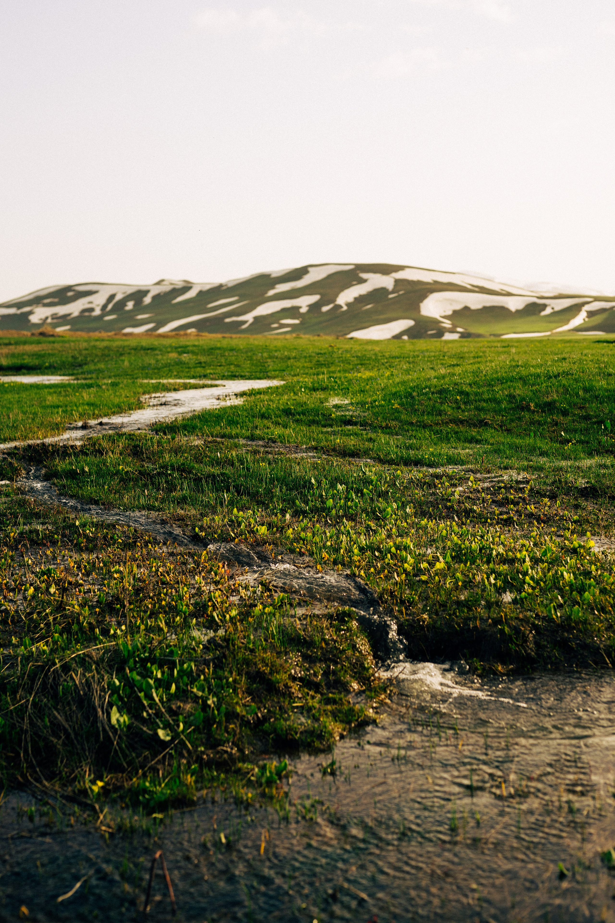 World. Фотограф в Санкт-Петербурге