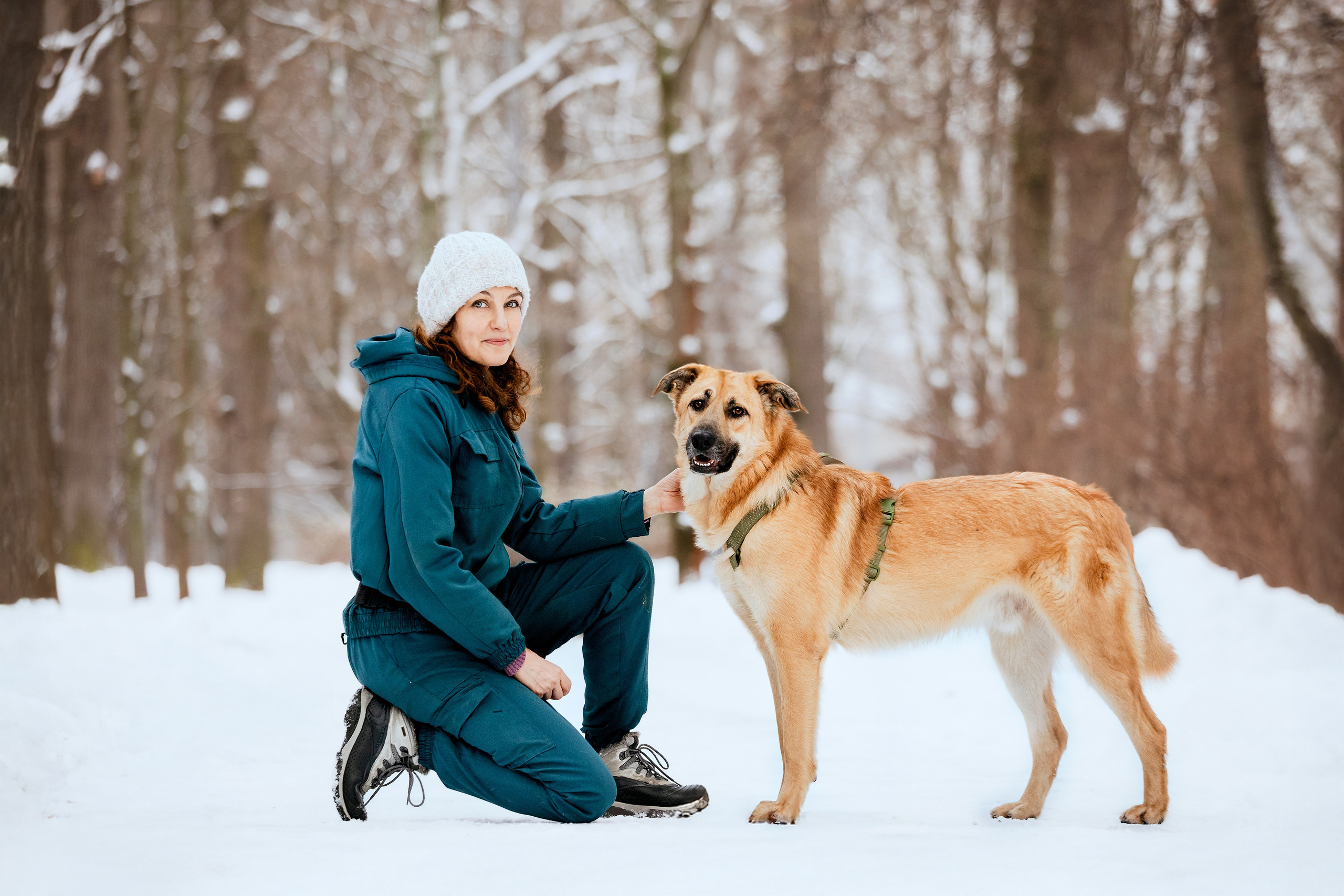 Собаки из приюта Дубовая роща зима. Фотограф-анималист Татьяна Степанова
