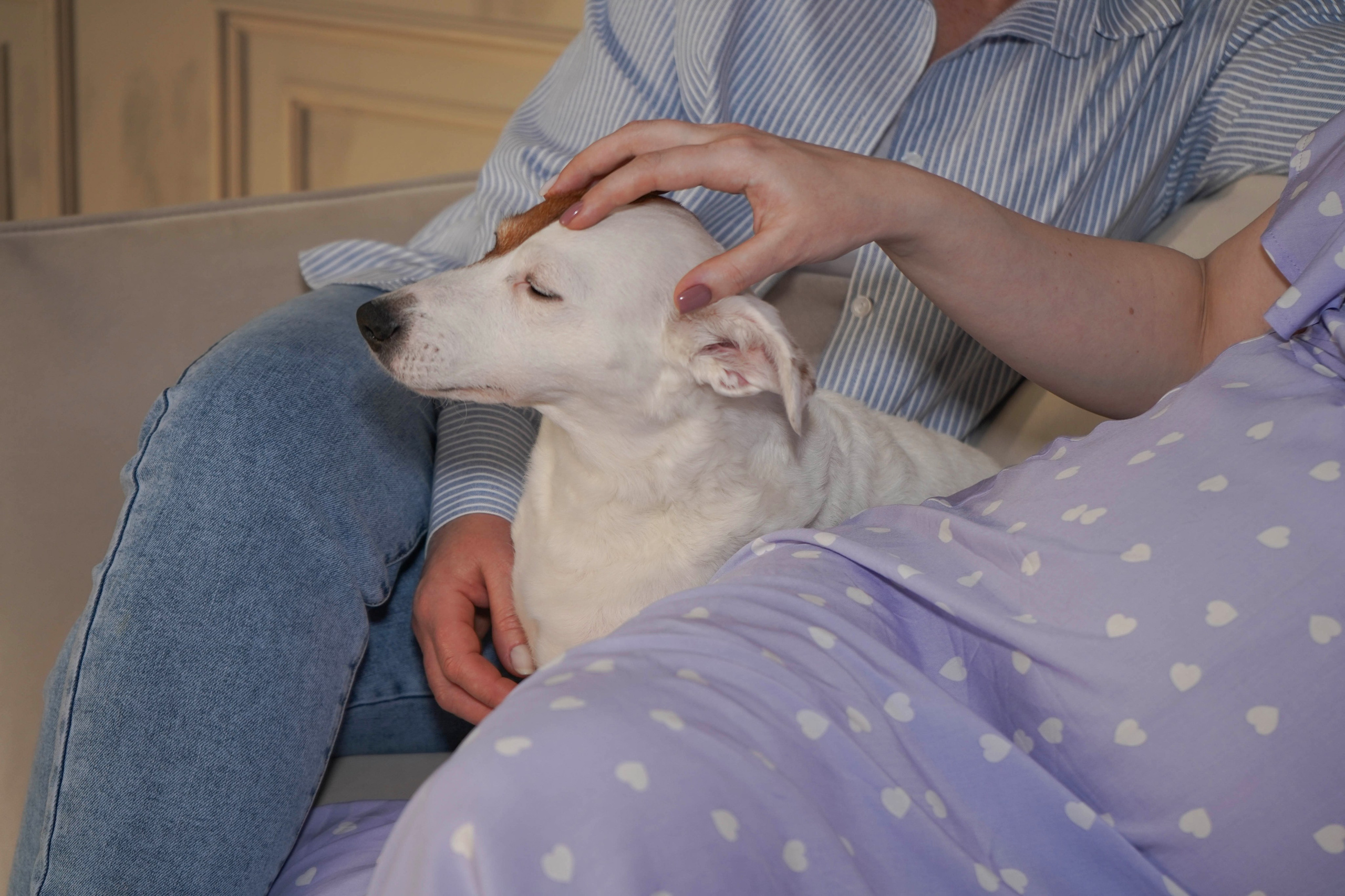 Семейная фотосессия в студии. Главная