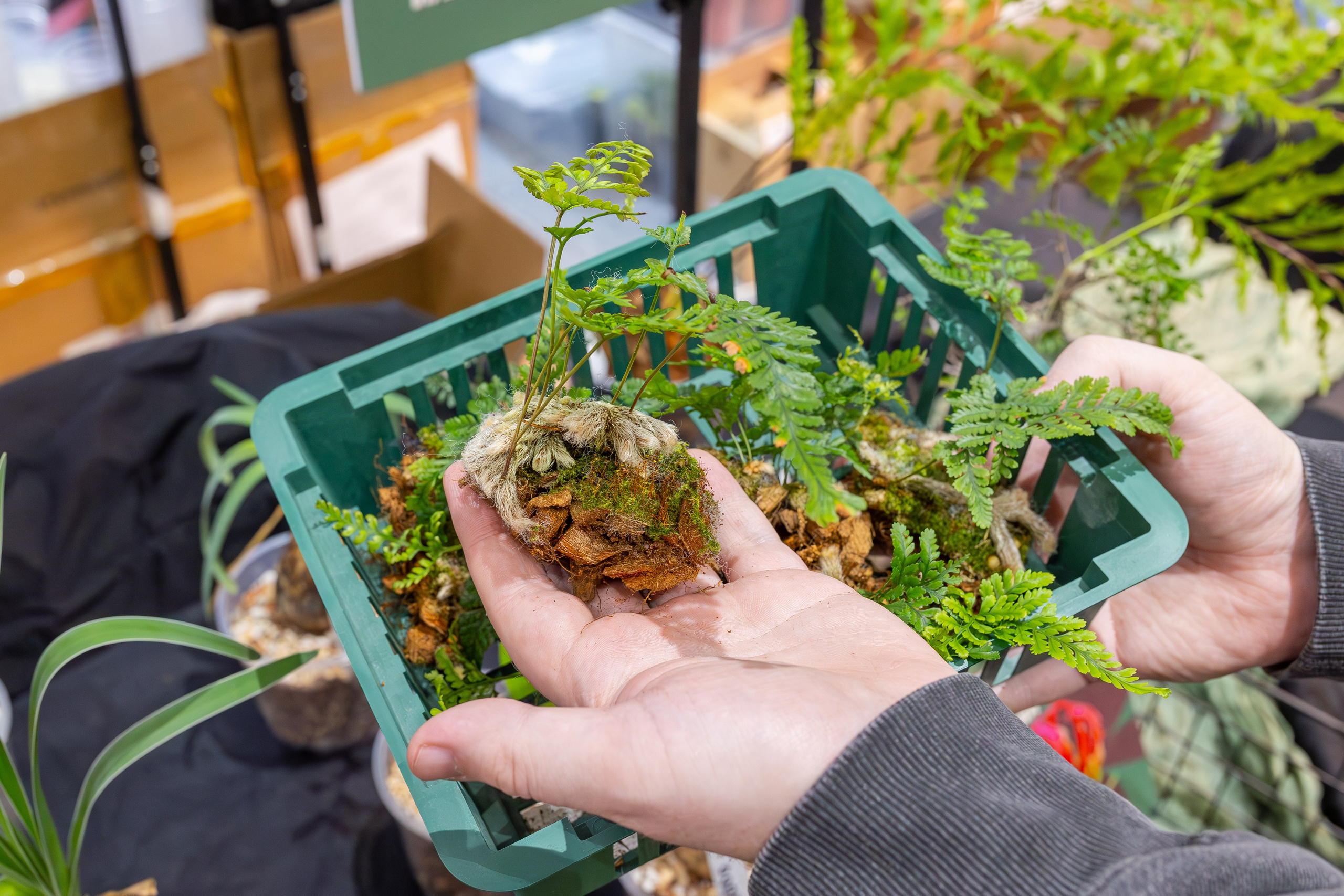 Монстериум 11–12 октября. Александра Куликова фотограф, Москва