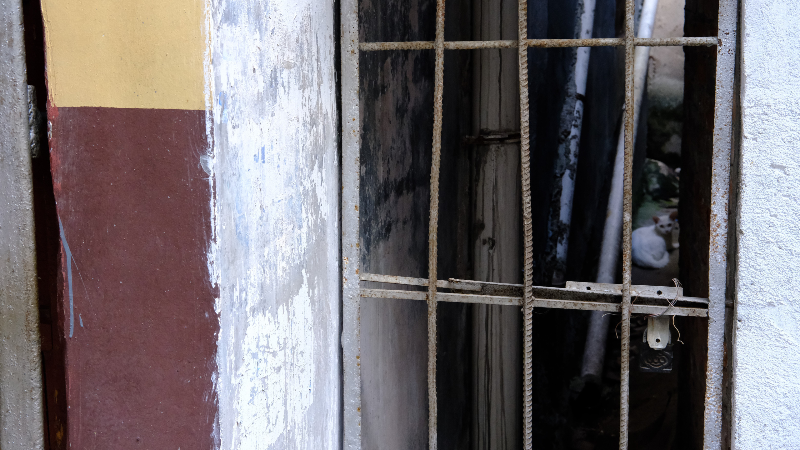 Emotions of the city. Photographer in Guangzhou, China