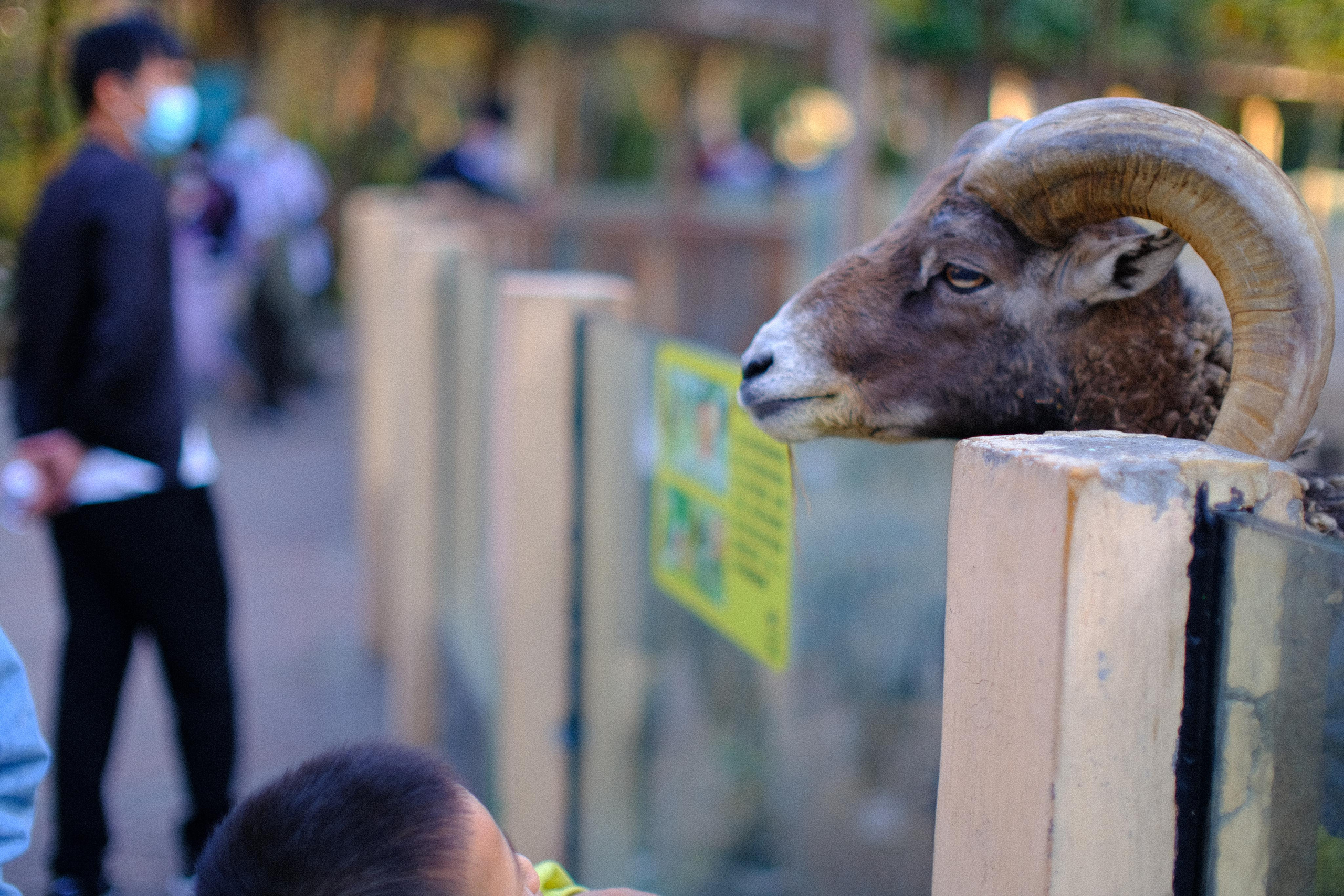 Emotions of the city. Photographer in Guangzhou, China