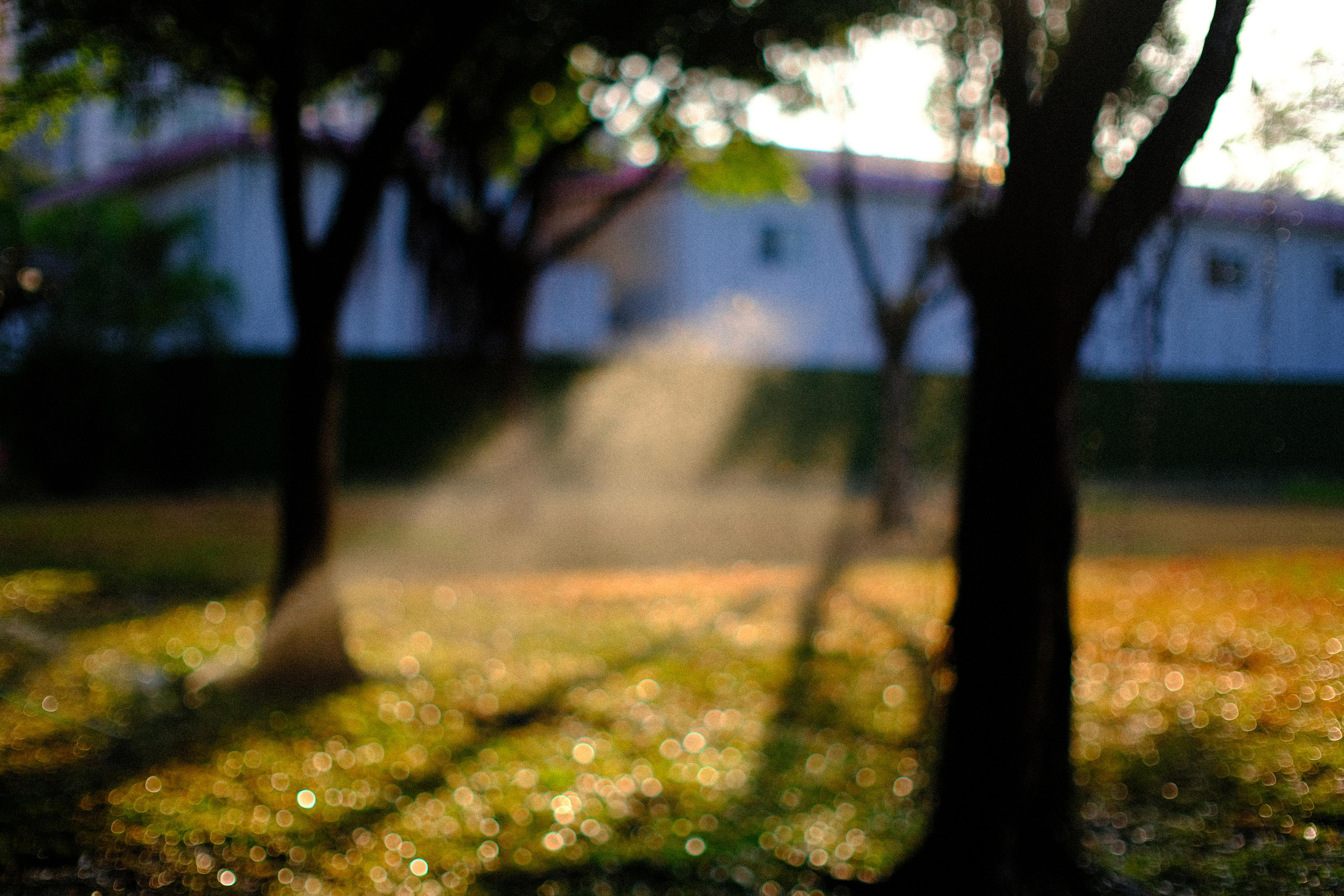 Emotions of the city. Photographer in Guangzhou, China