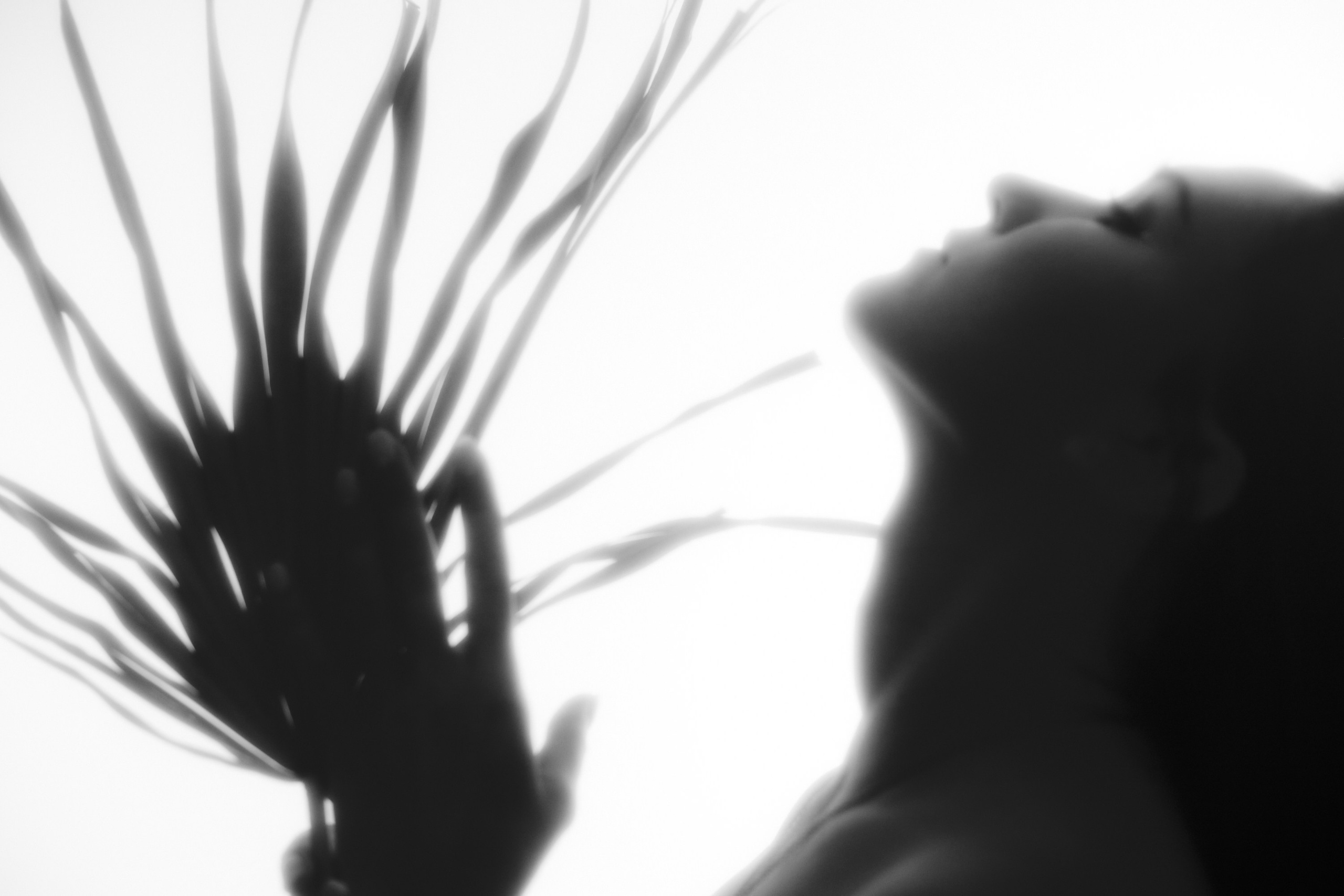 Силуэты. Фотохудожник Елена Криулина