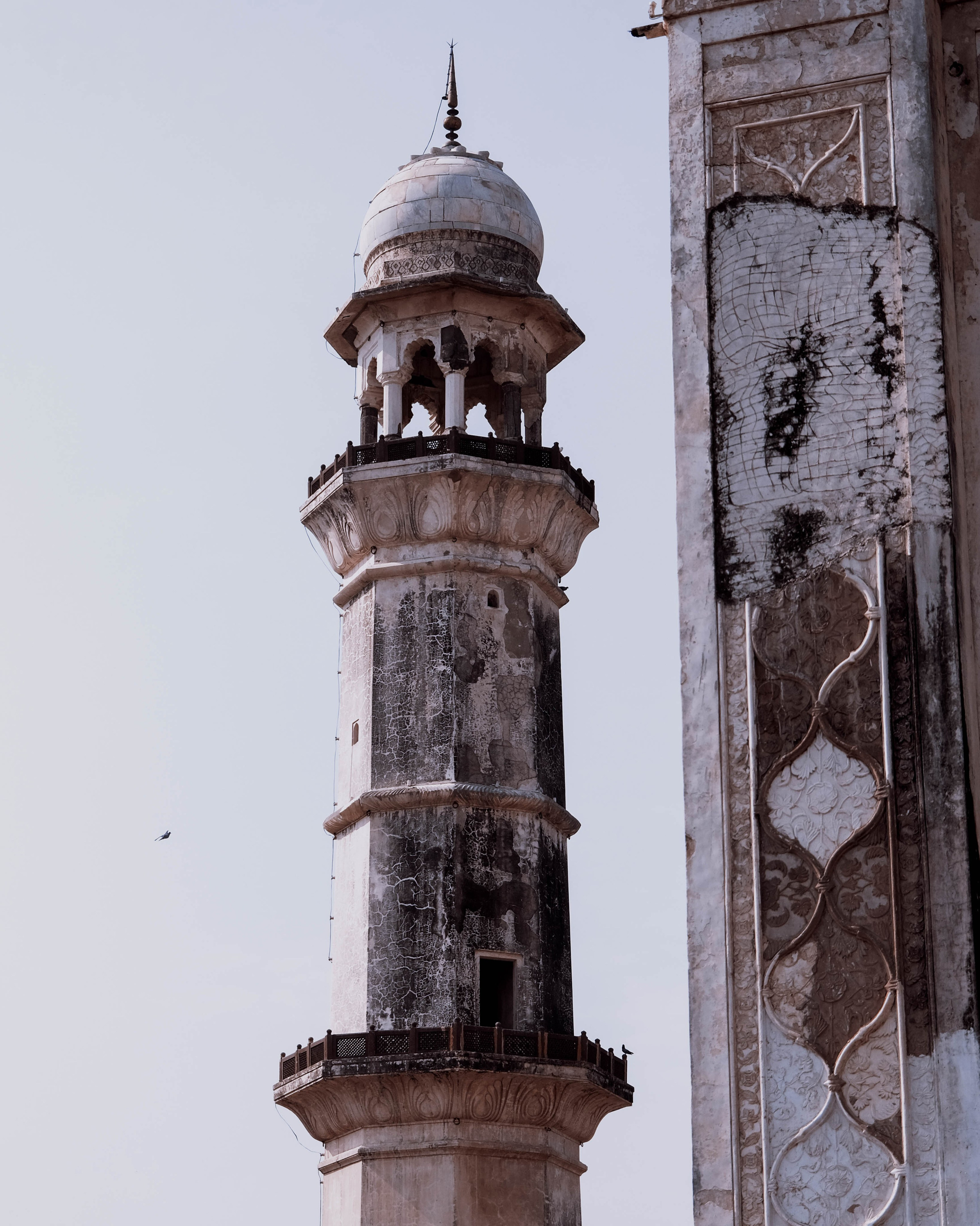 INDIA. Фотограф Дмитрий Олрайт | Калуга, Россия