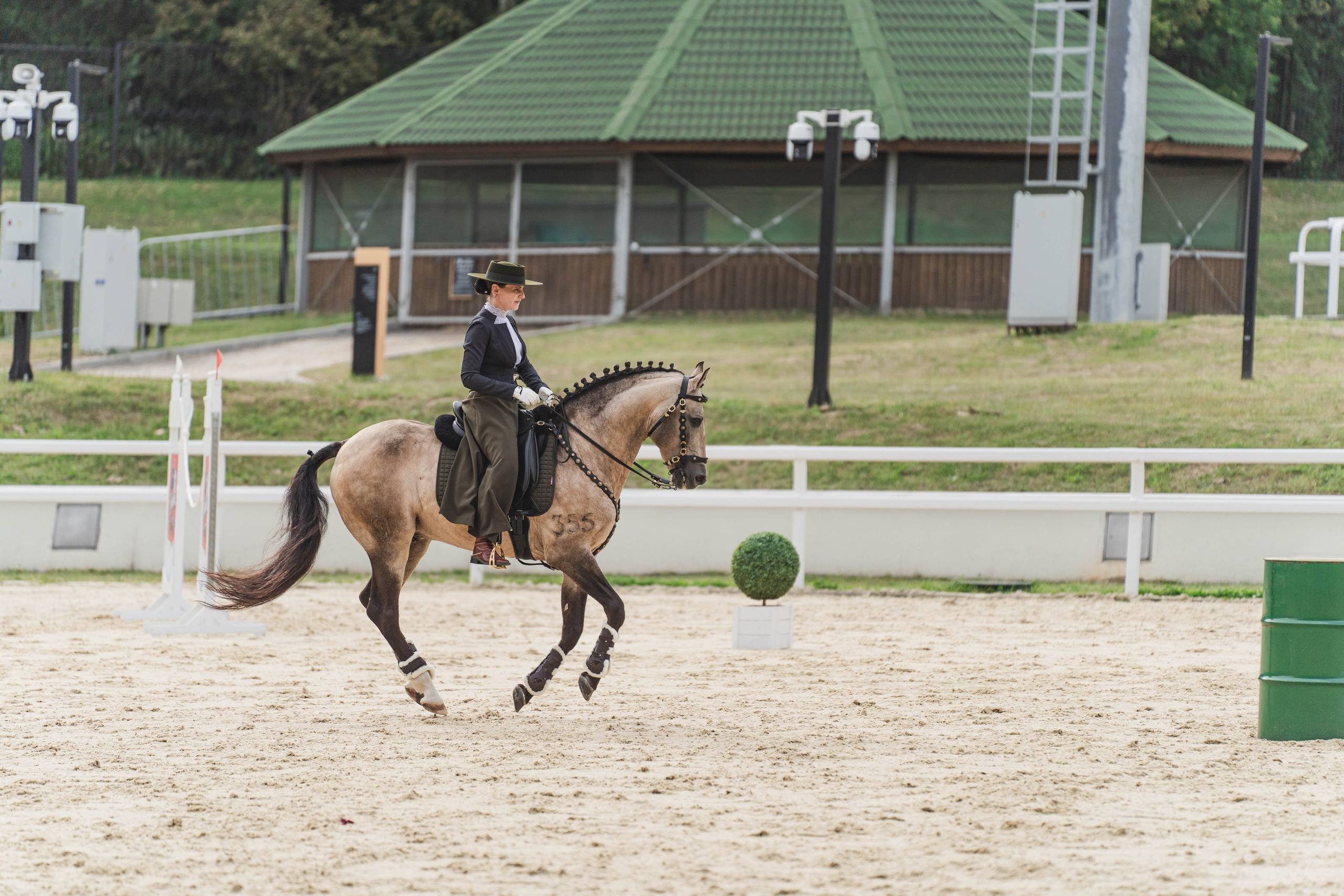 Мастер-класс по рабочей выездке. Фотограф в Москве Ленарская Дарья