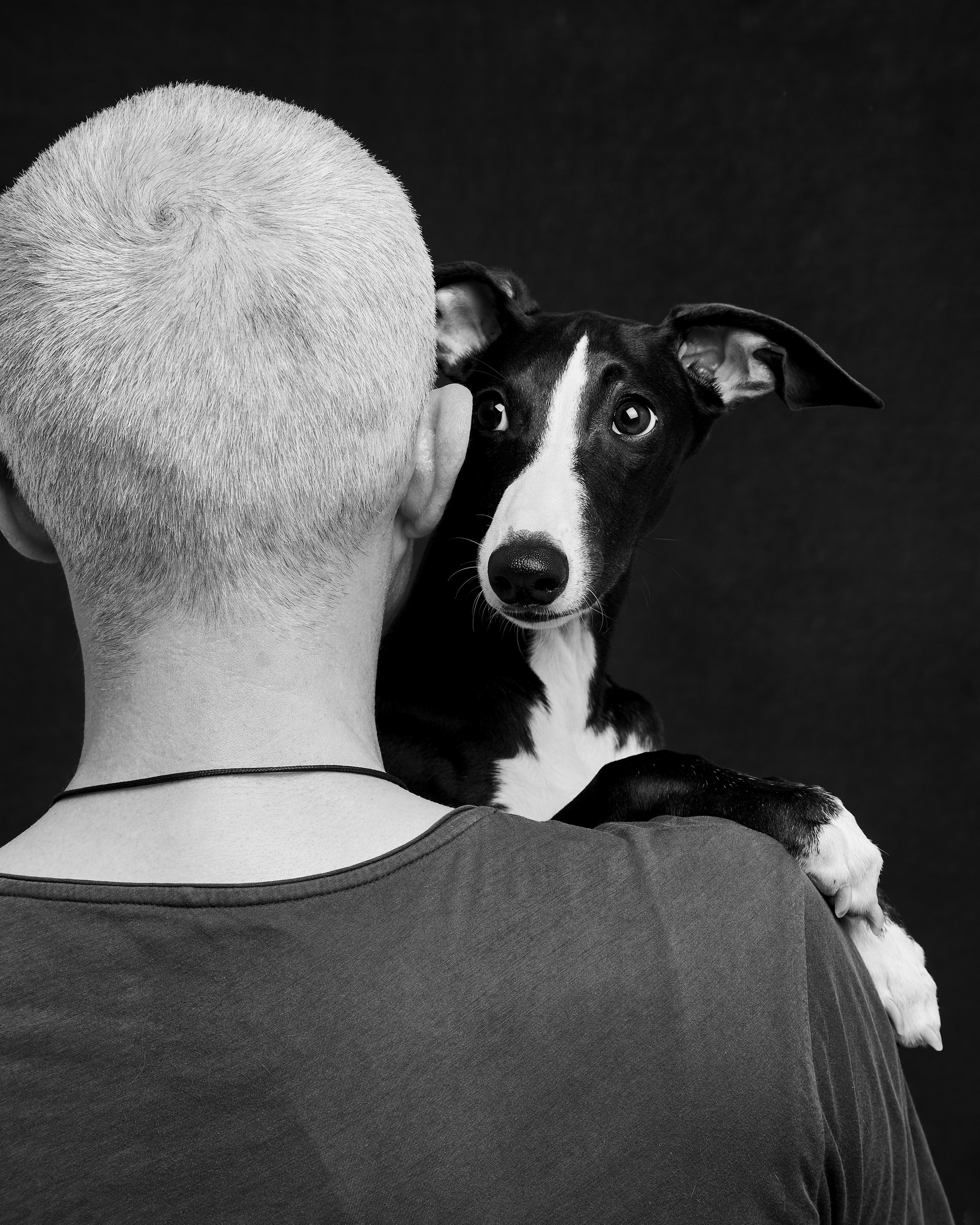 Собаки и их люди. Pets Photography / Фотограф Собак
