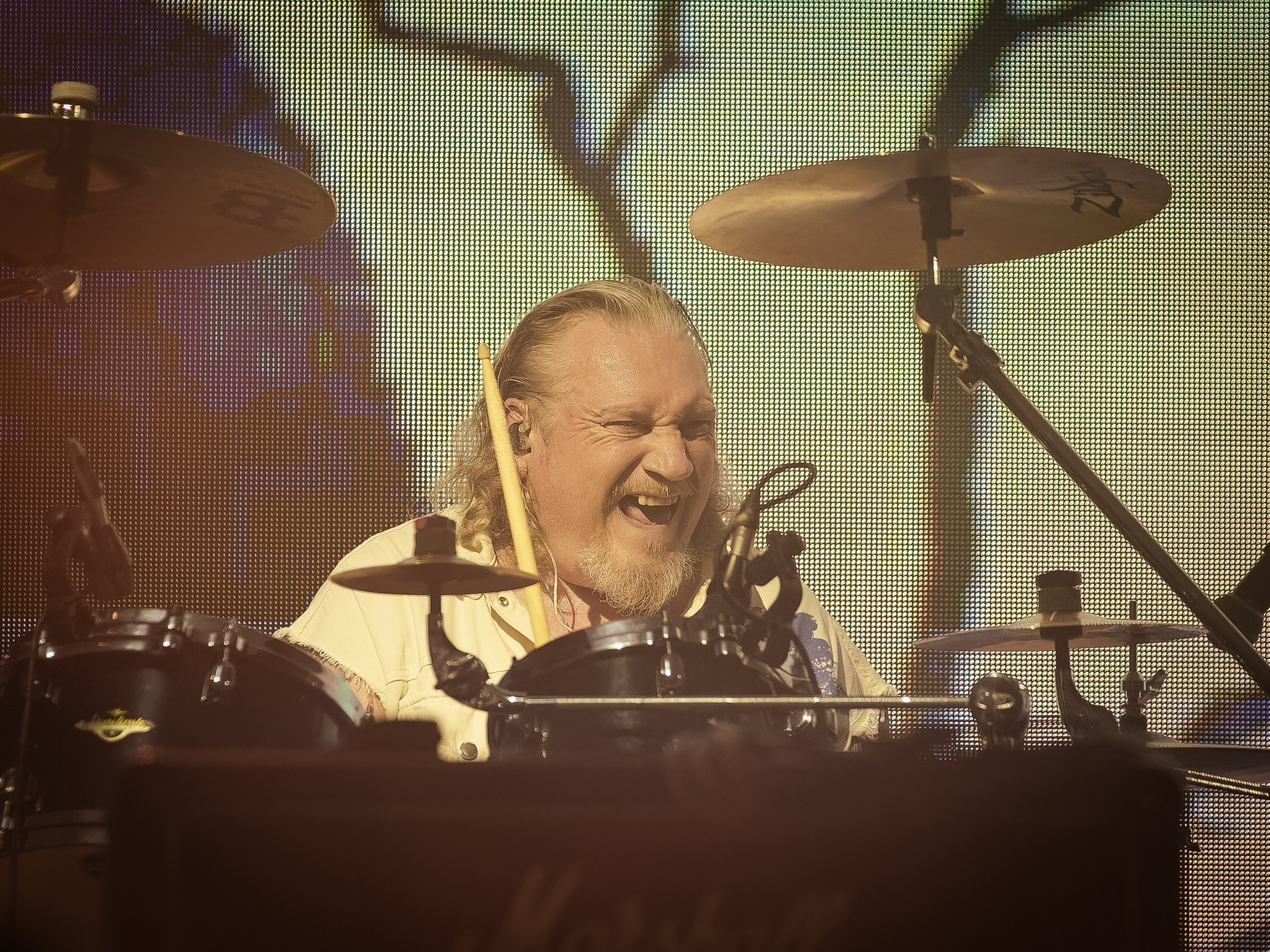 Эпидемия. Крылья Сахалина. Фотограф. г. Южно-Сахалинск. Олег Толстов