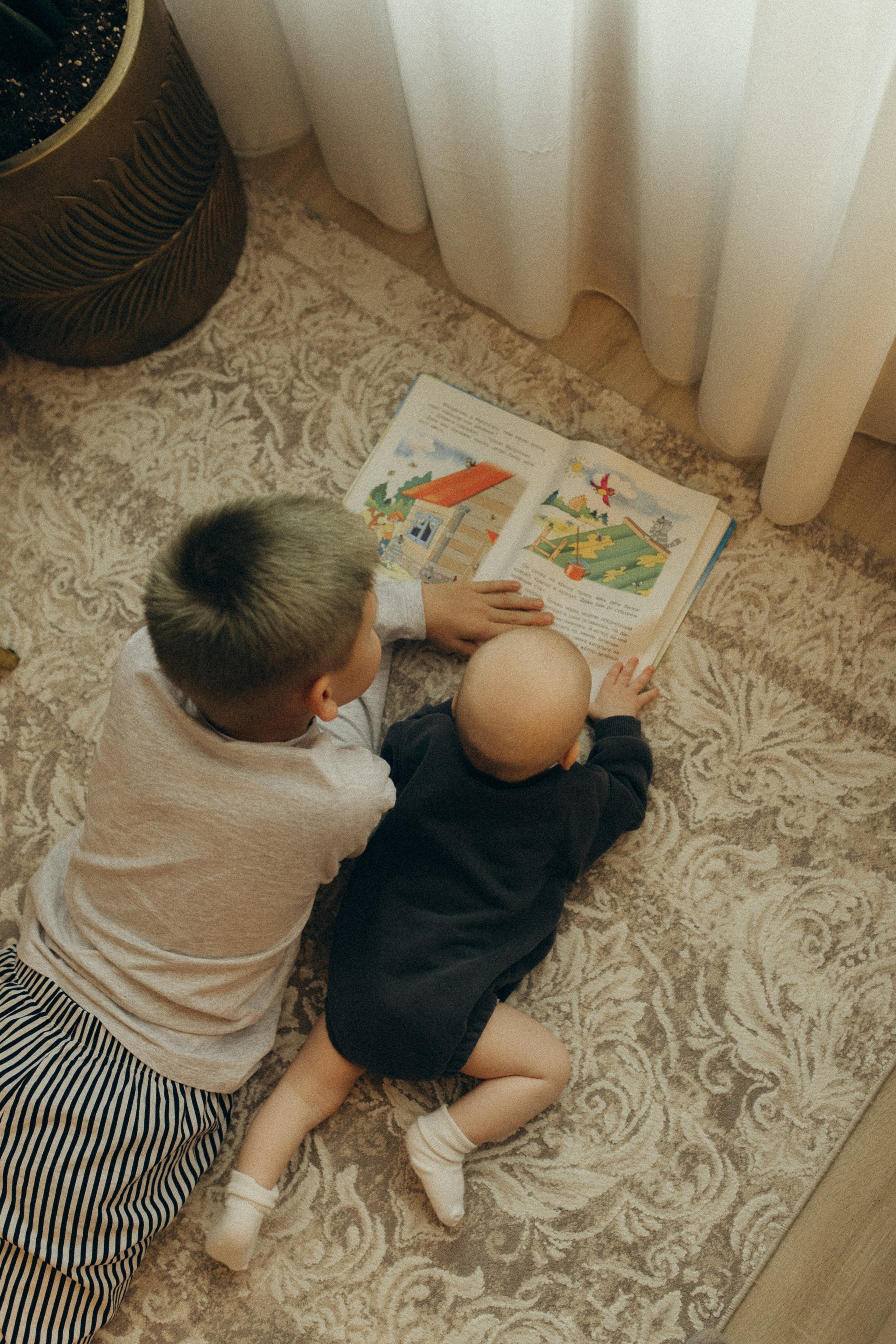 Домашняя история. Meryfotoidea