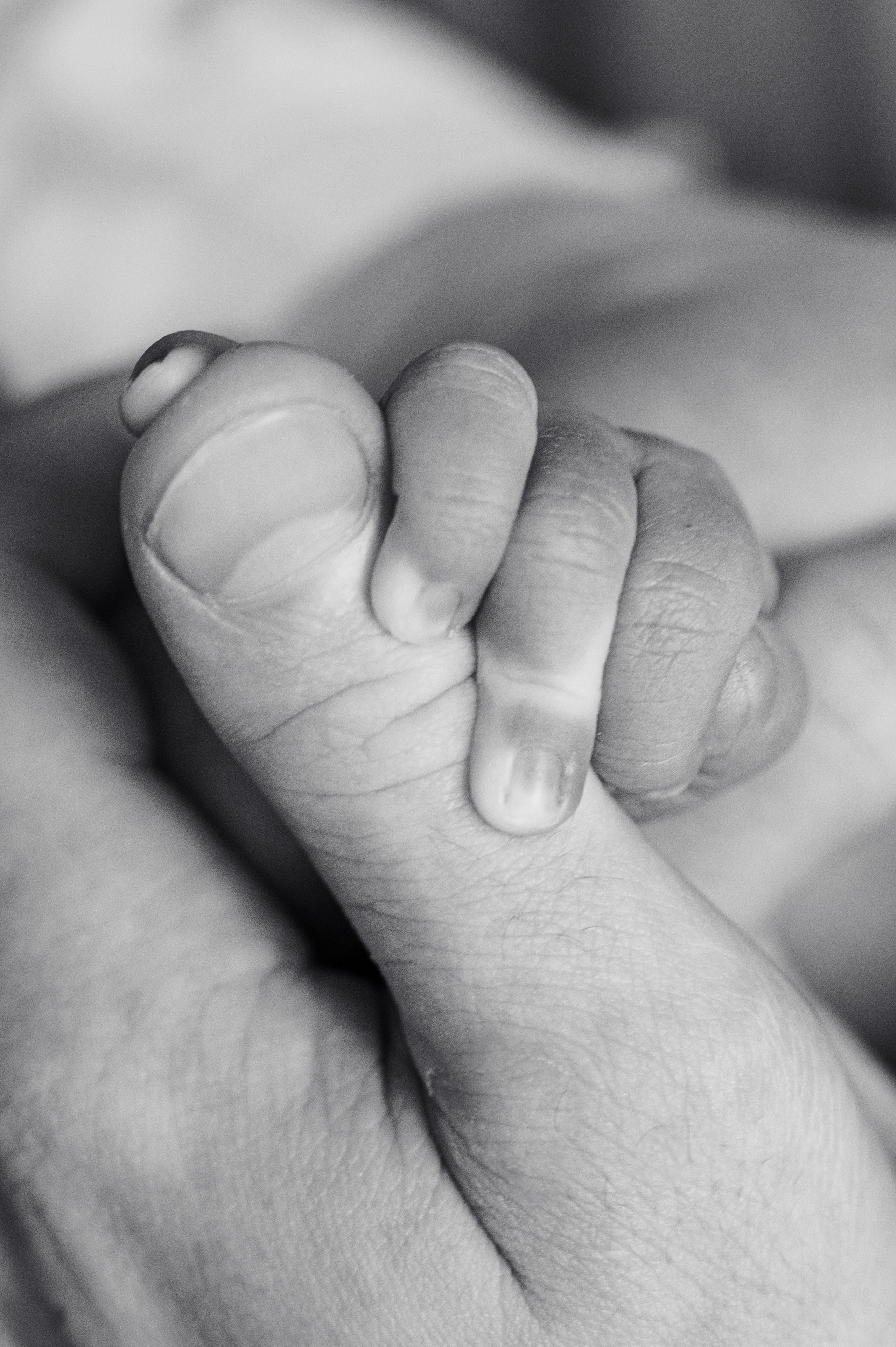 Выписка Льва. Фотограф на роды СПБ Юлия Герасимова