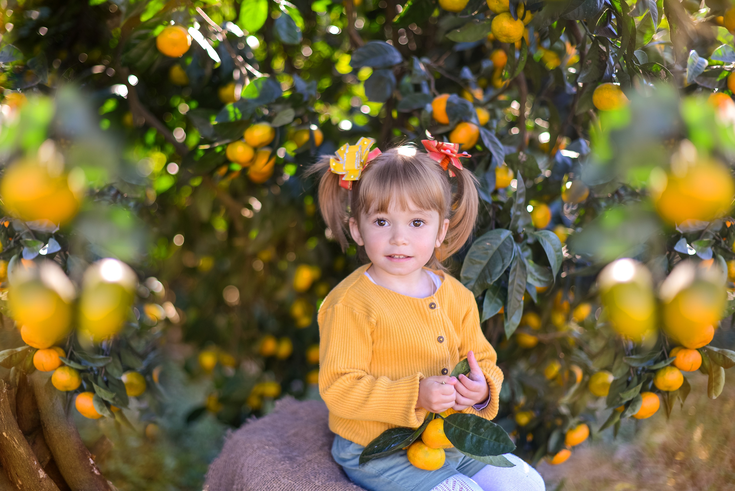 Мандарины. Детский и семейный фотограф в Абхазии