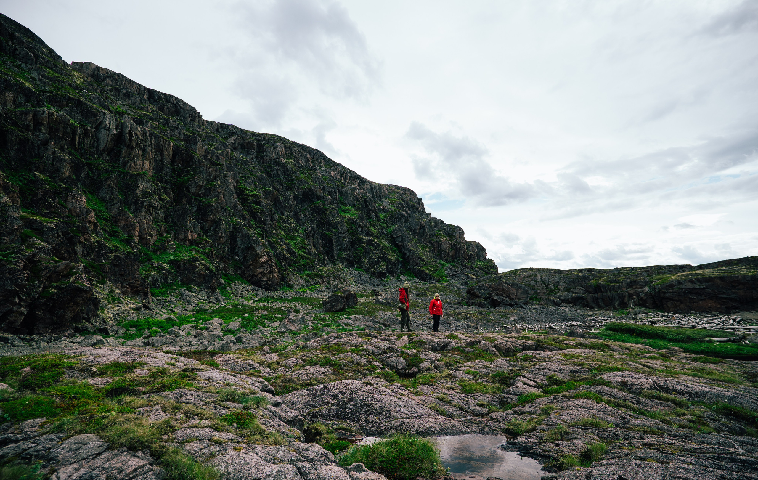 ТЕРИБЕРКА. Создание контента | Фото | Видеосъемка | Александр Ярков