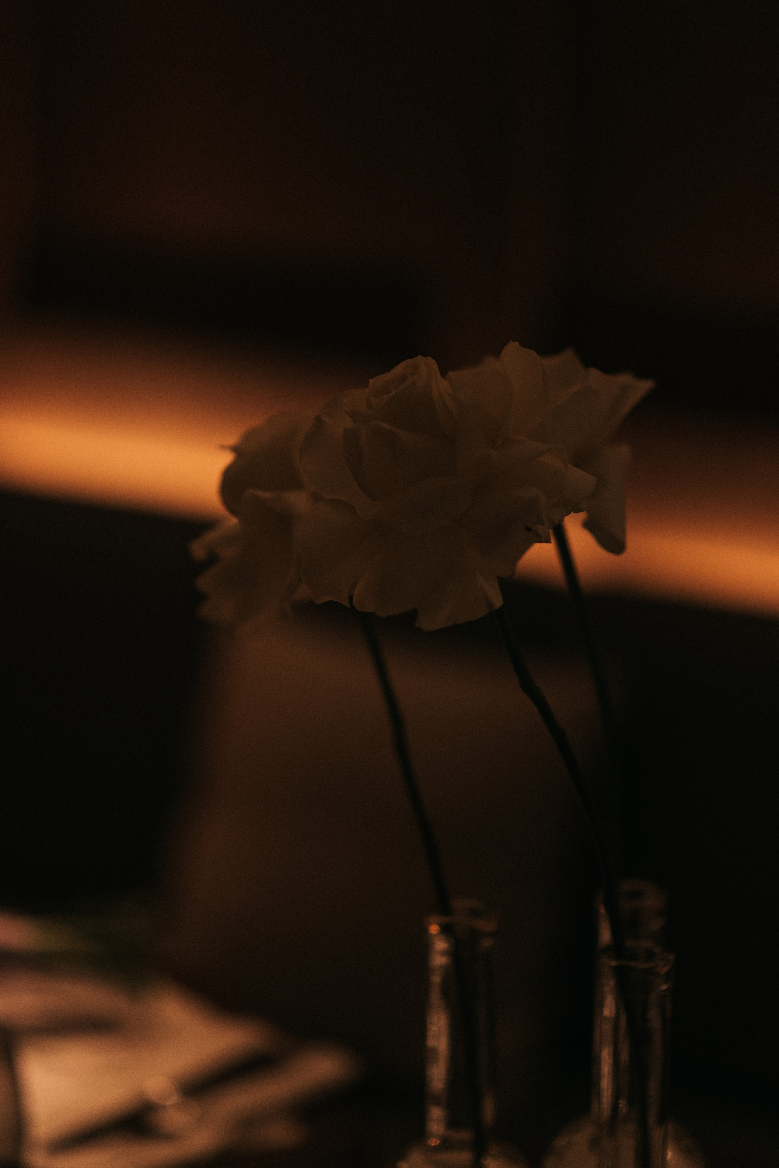 Александра и Дмитрий. Свадебный фотограф Москва и Санкт-Петербург. Анастасия Чудина