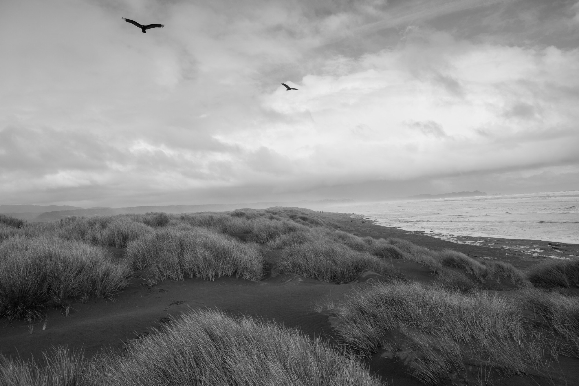 LANDSCAPE. Portrait and business photographer in Moscow Andrey Nikolsky