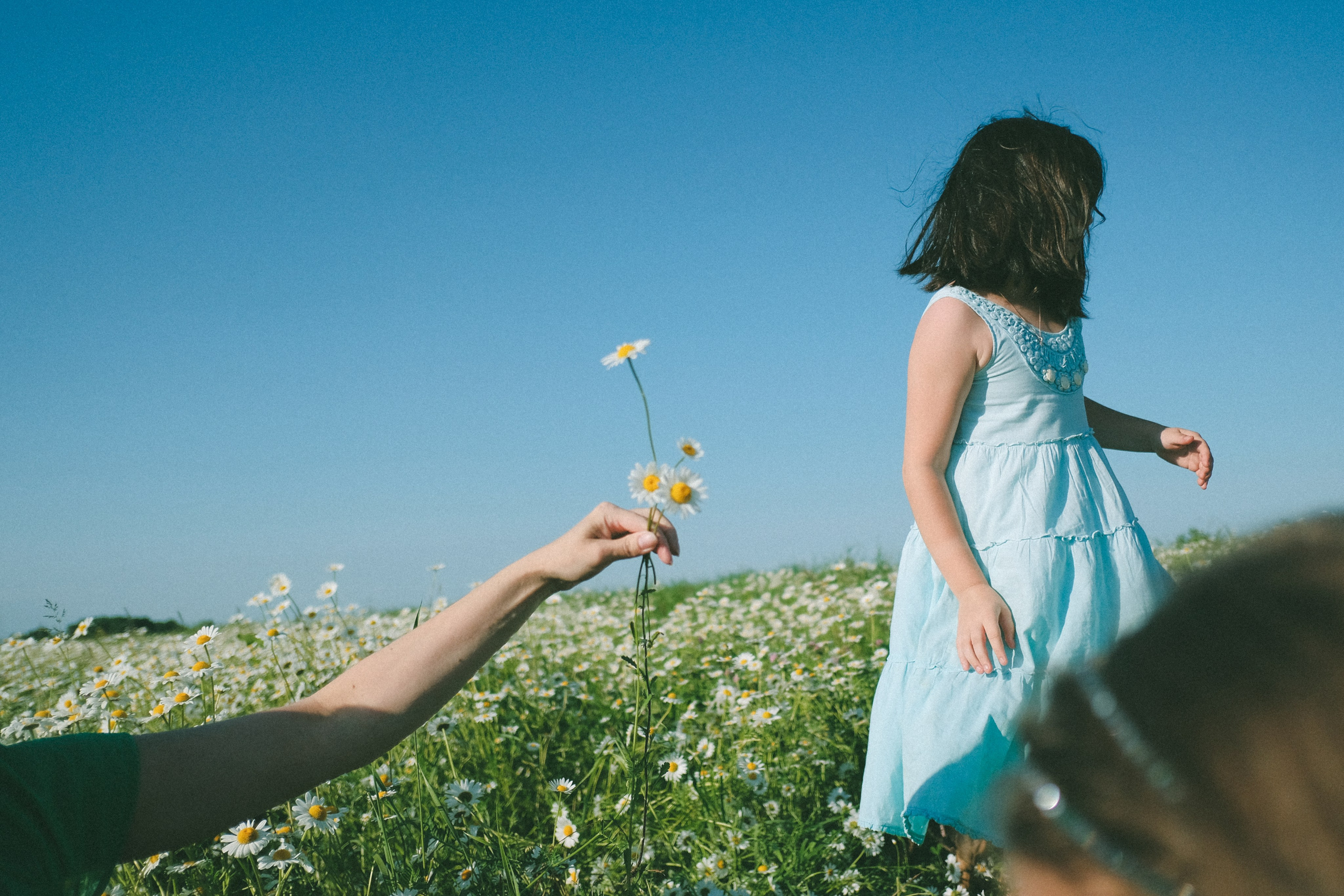 Ждановы в ромашках. Женский и семейный фотограф в Краснодаре и крае Таня Мустафина