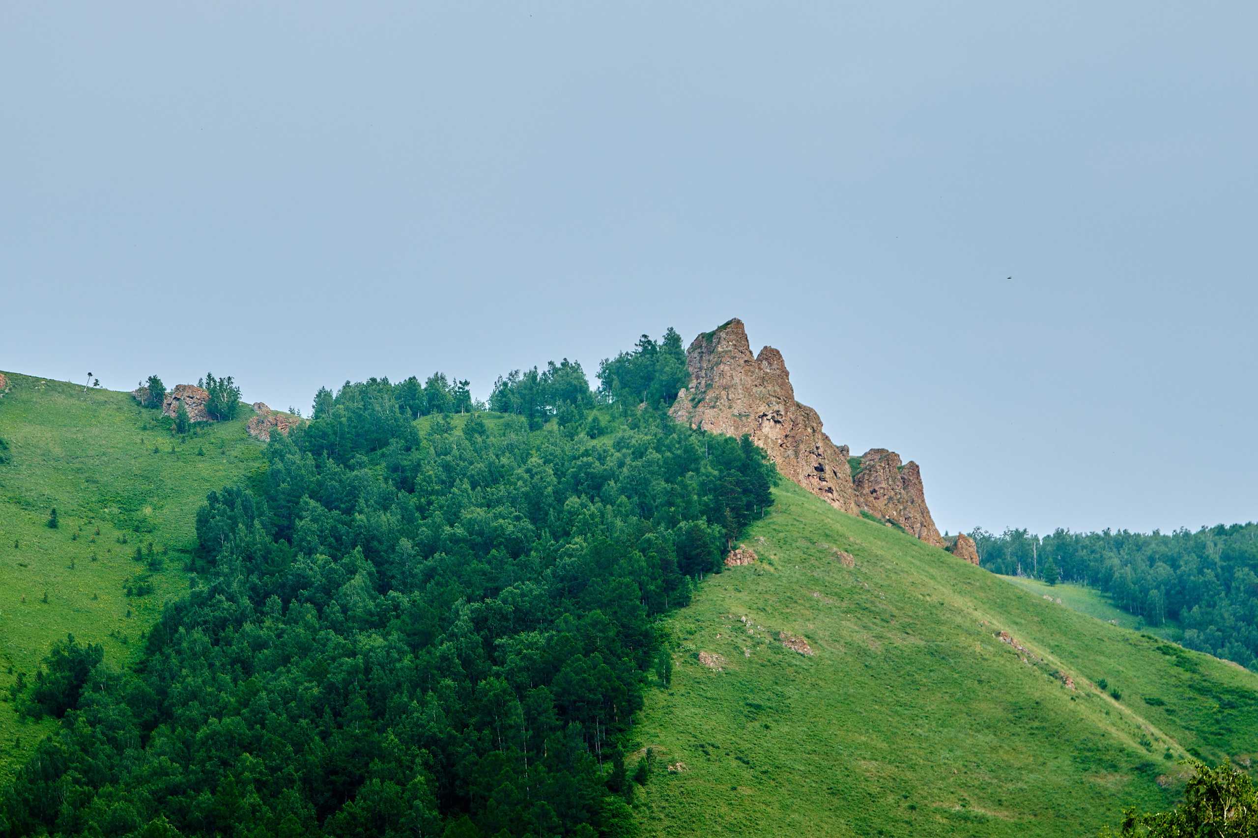 АКЕВ Красноярск