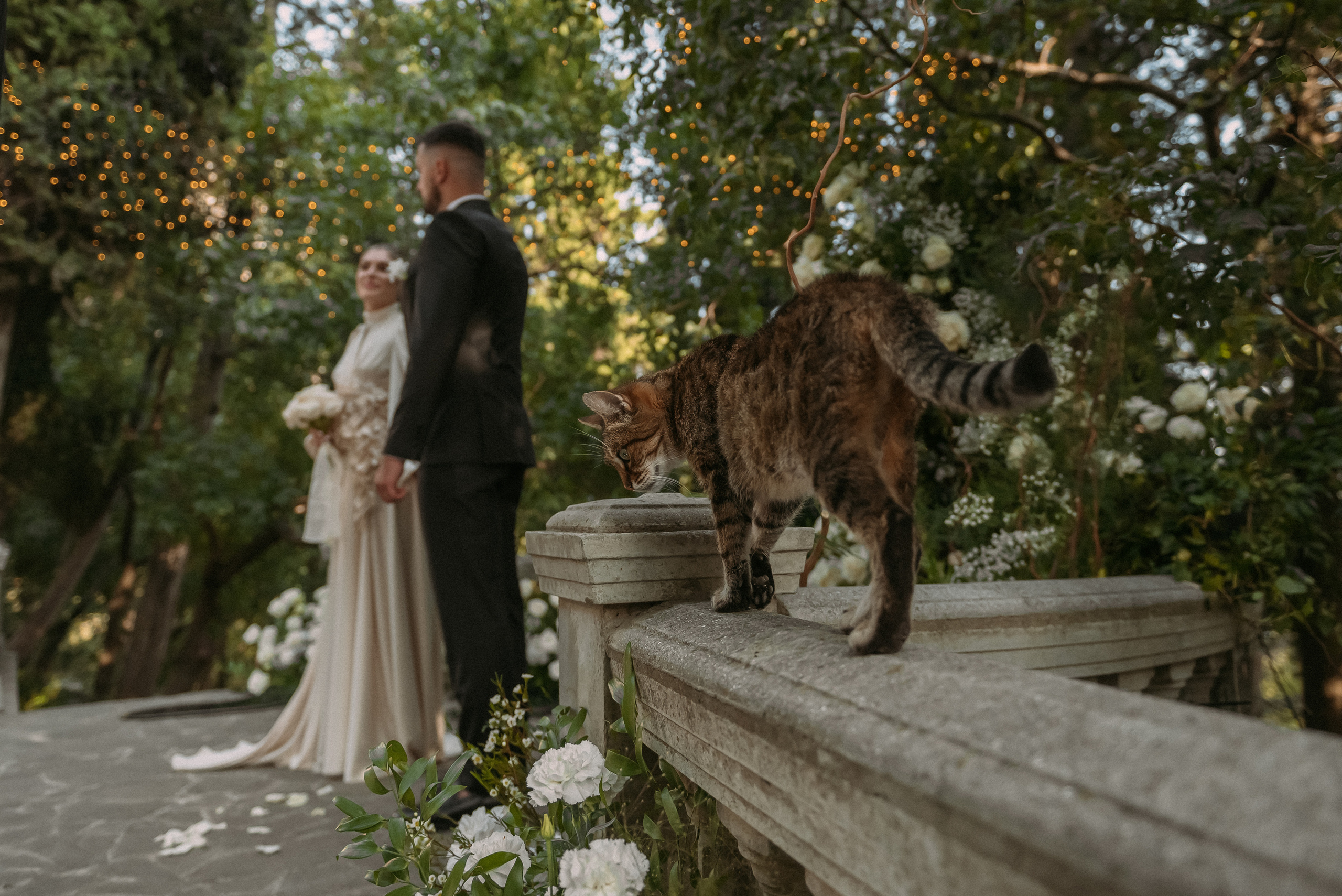Свадебная фотосессия на вилле в Крыму. Свадебный и семейный фотограф в Симферополе Дарья Маркова