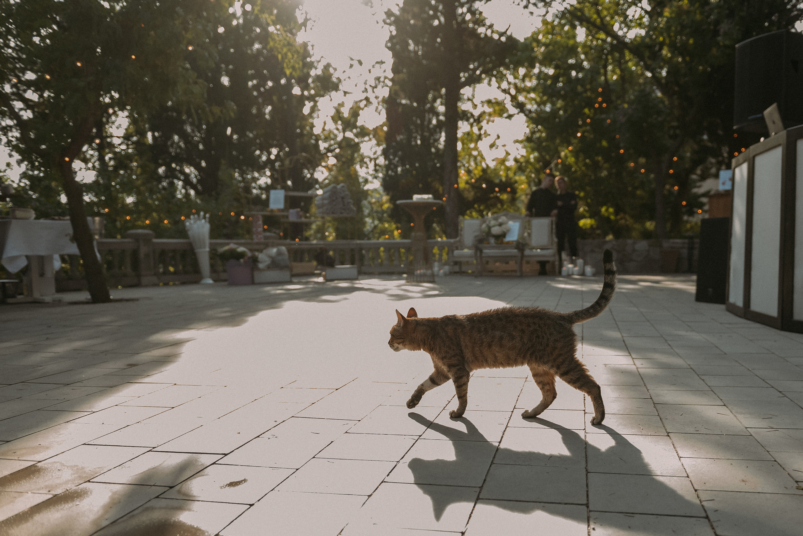 Свадебная фотосессия на вилле в Крыму. Свадебный и семейный фотограф в Симферополе Дарья Маркова