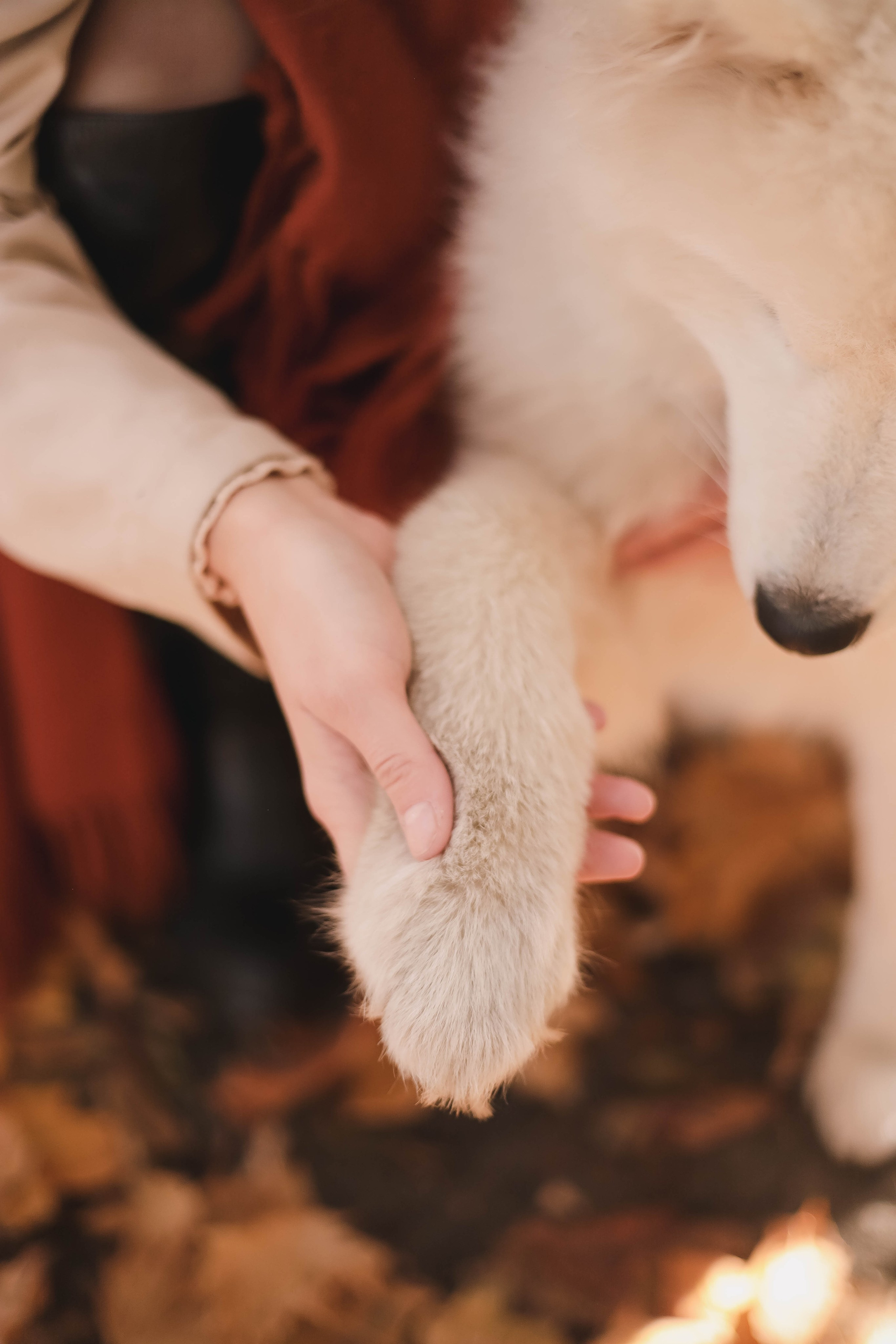 Марина и Малыш. Свадебный, семейный и детский фотограф в Люберцах Зайцева Анастасия
