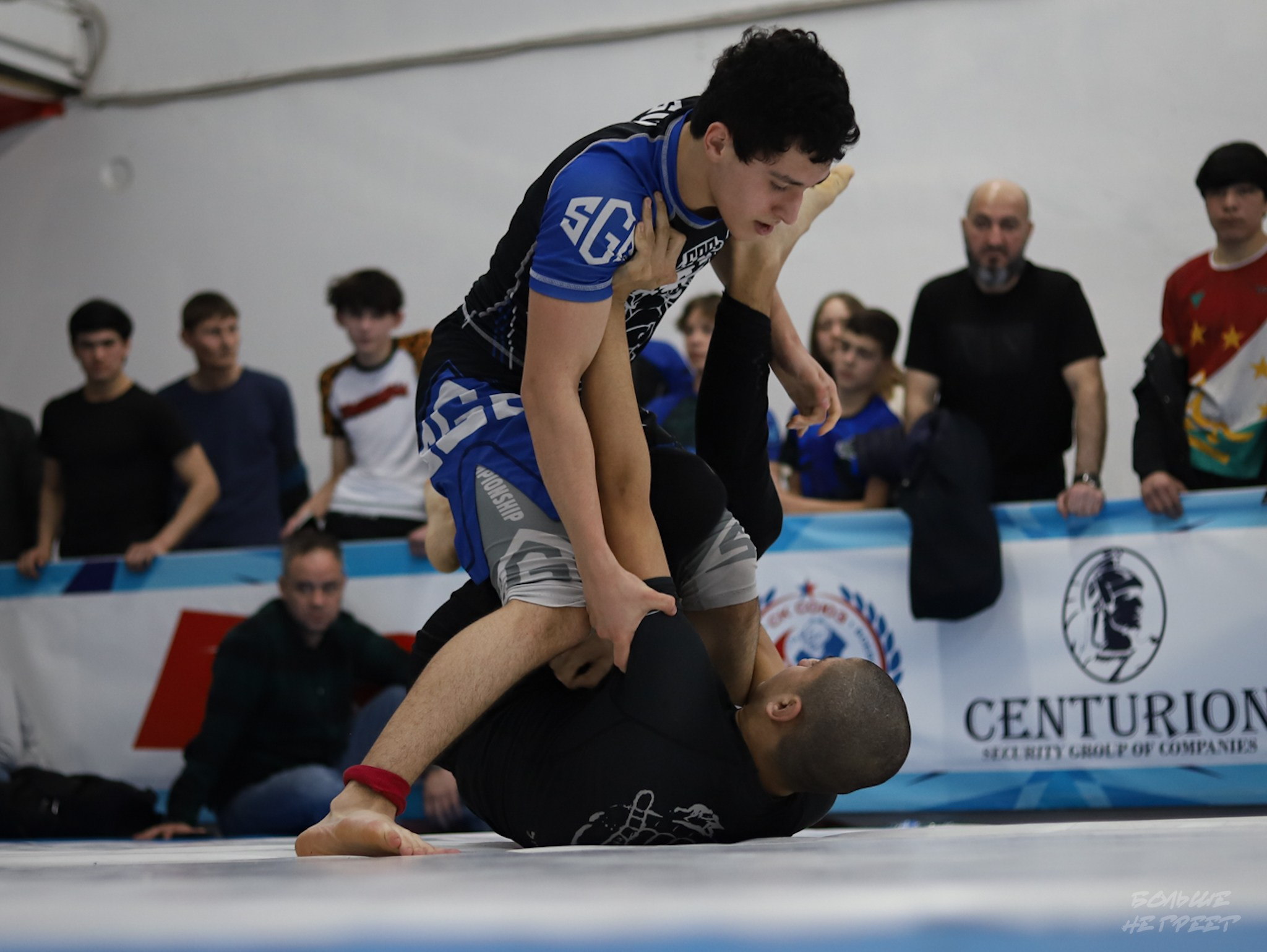 GORILLA PRIDE CUP. Больше не греет