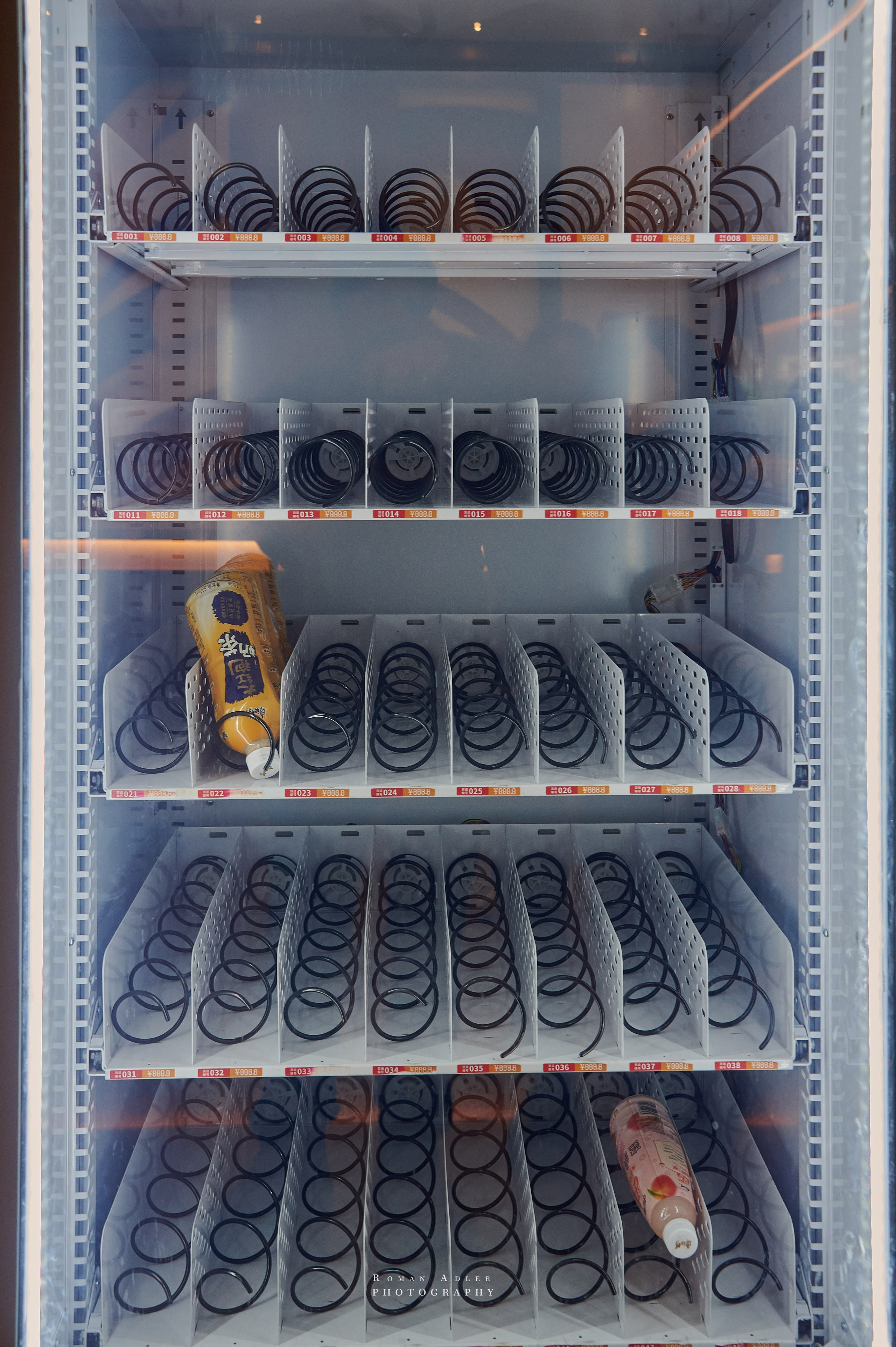 Национальный краеведческий музей Цинчжоу. Фотограф Роман Адлер