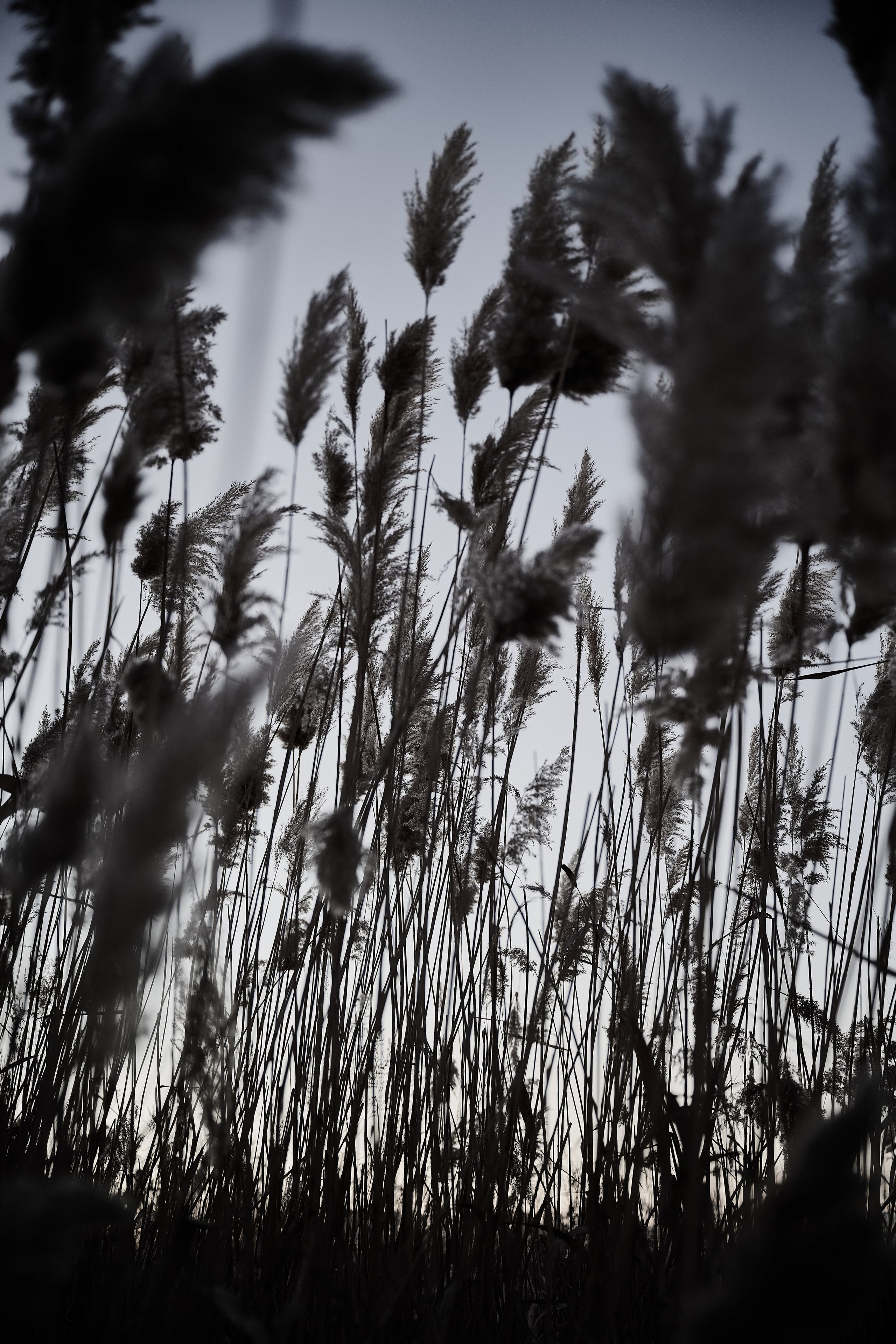 Дороги Территорий. Фотограф Роман Адлер