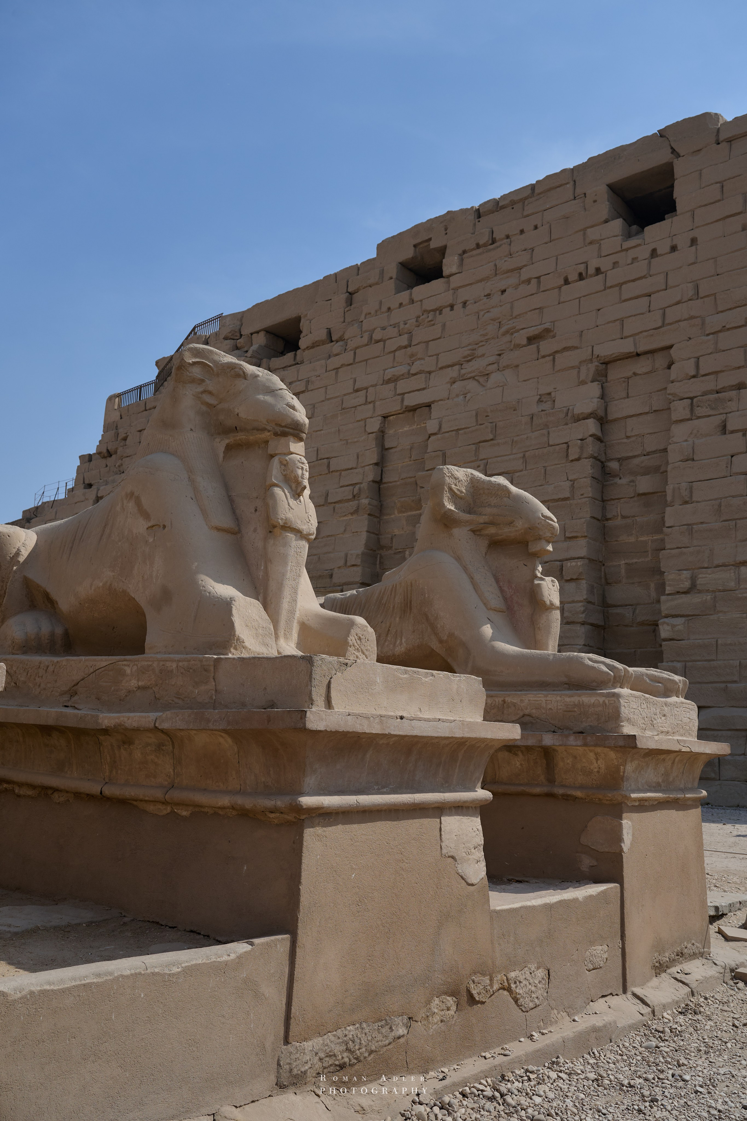 Луксор. Февраль 2025. Фотограф Роман Адлер