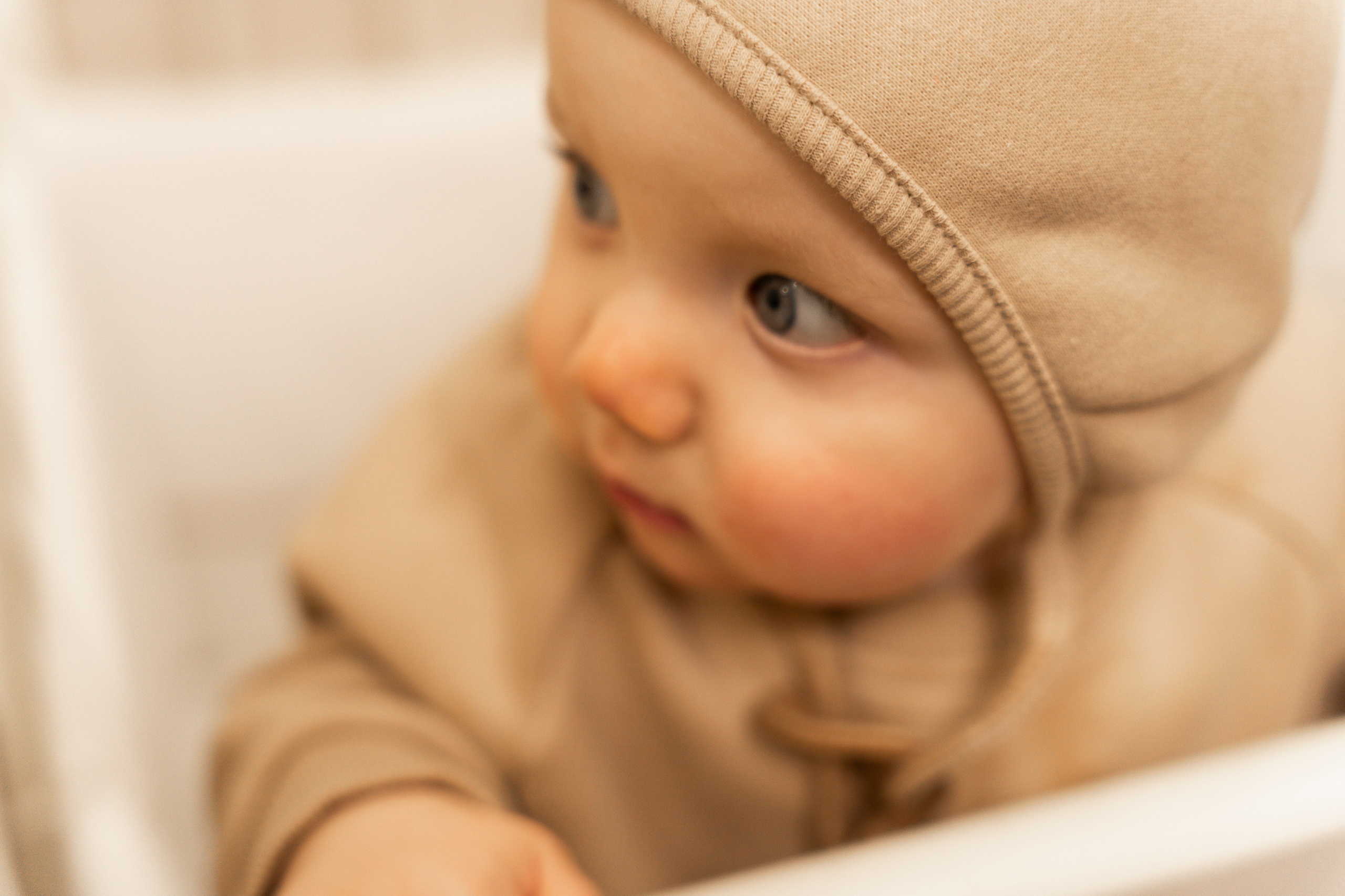 Новогодние тройняшки. Главная