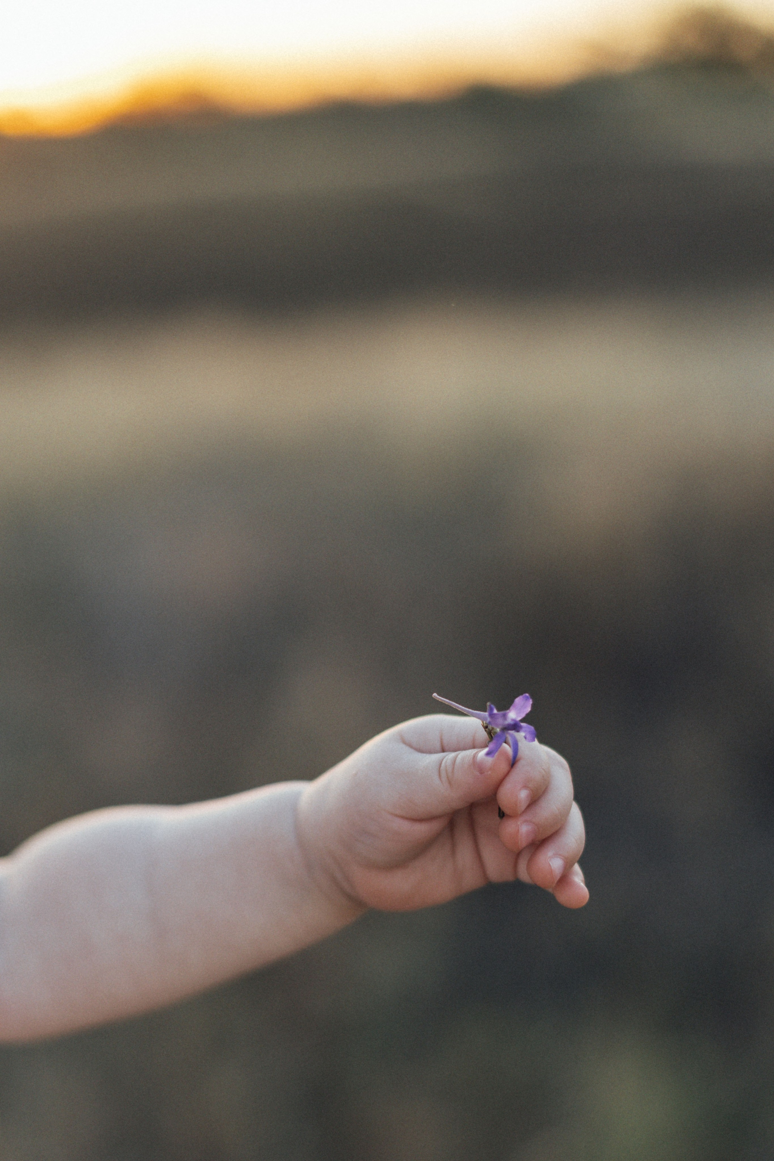 Полина + Артем + Глеб + Юсина. Семейный фотограф Елена Баган Волгоград