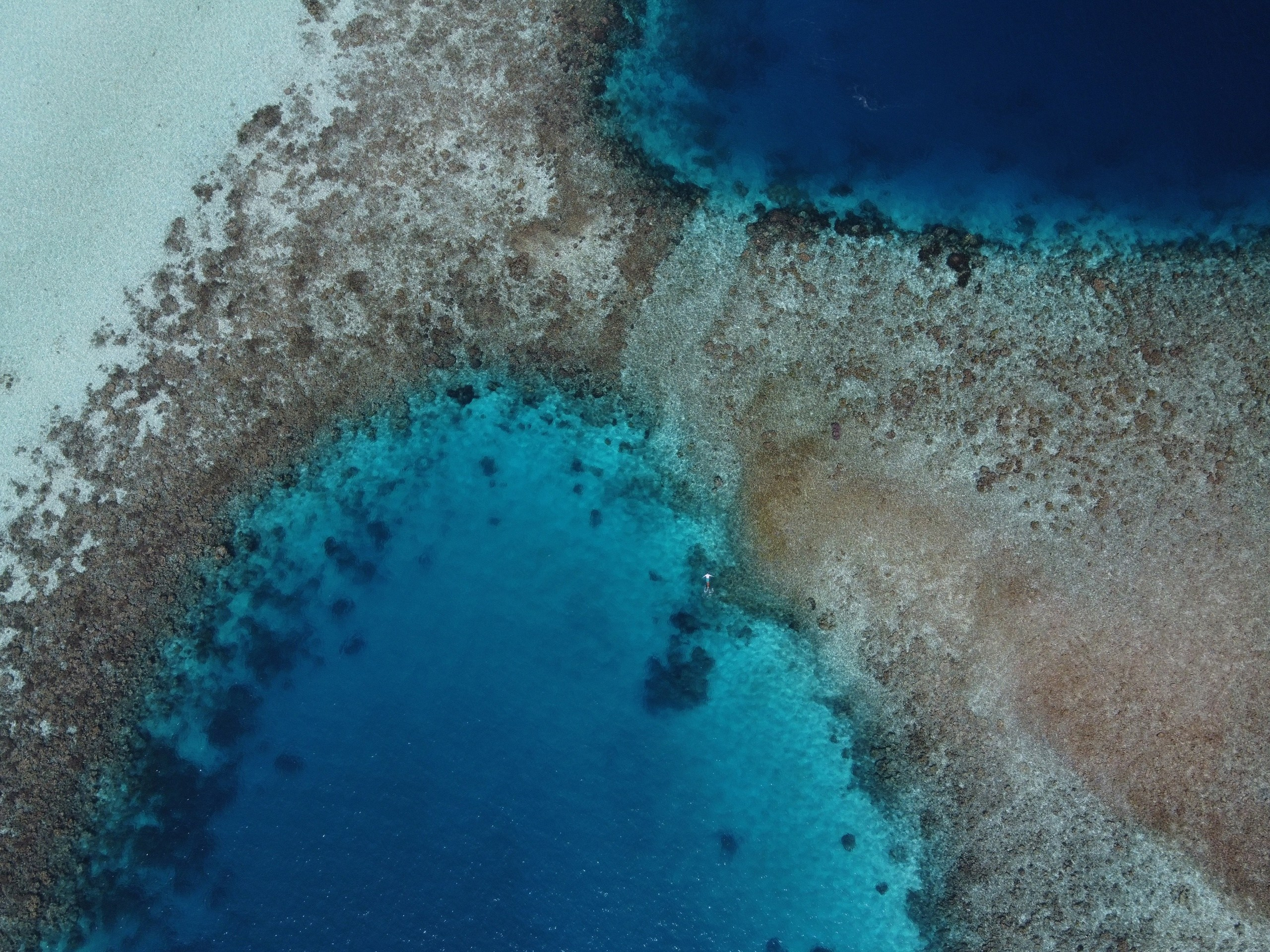 Мальдивы. Фотограф Мельник Ирина. Москва