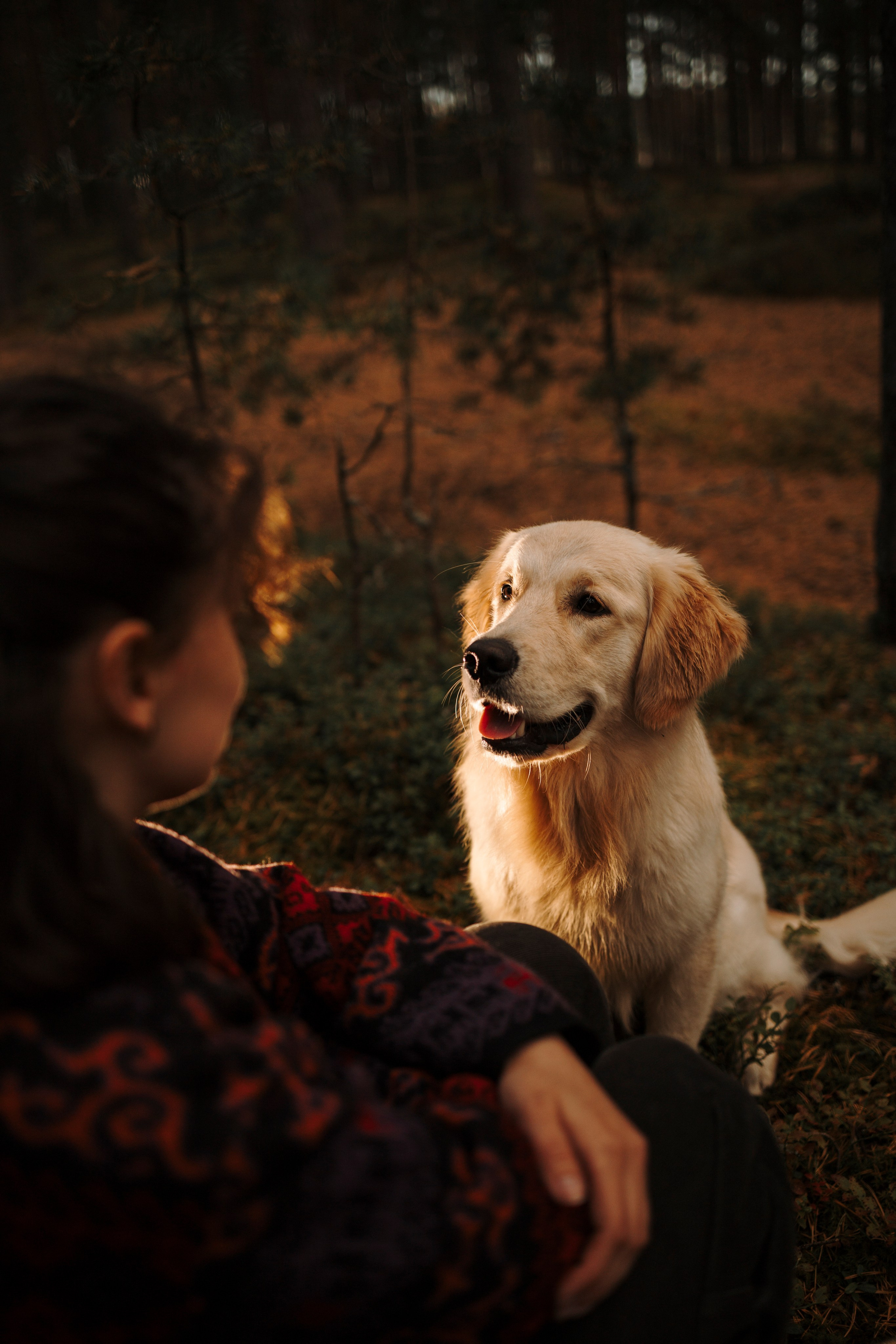 Прогулка Насти с Арчи и Арагоном. Фотограф-анималист в Санкт-Петеребурге Титова Алиса