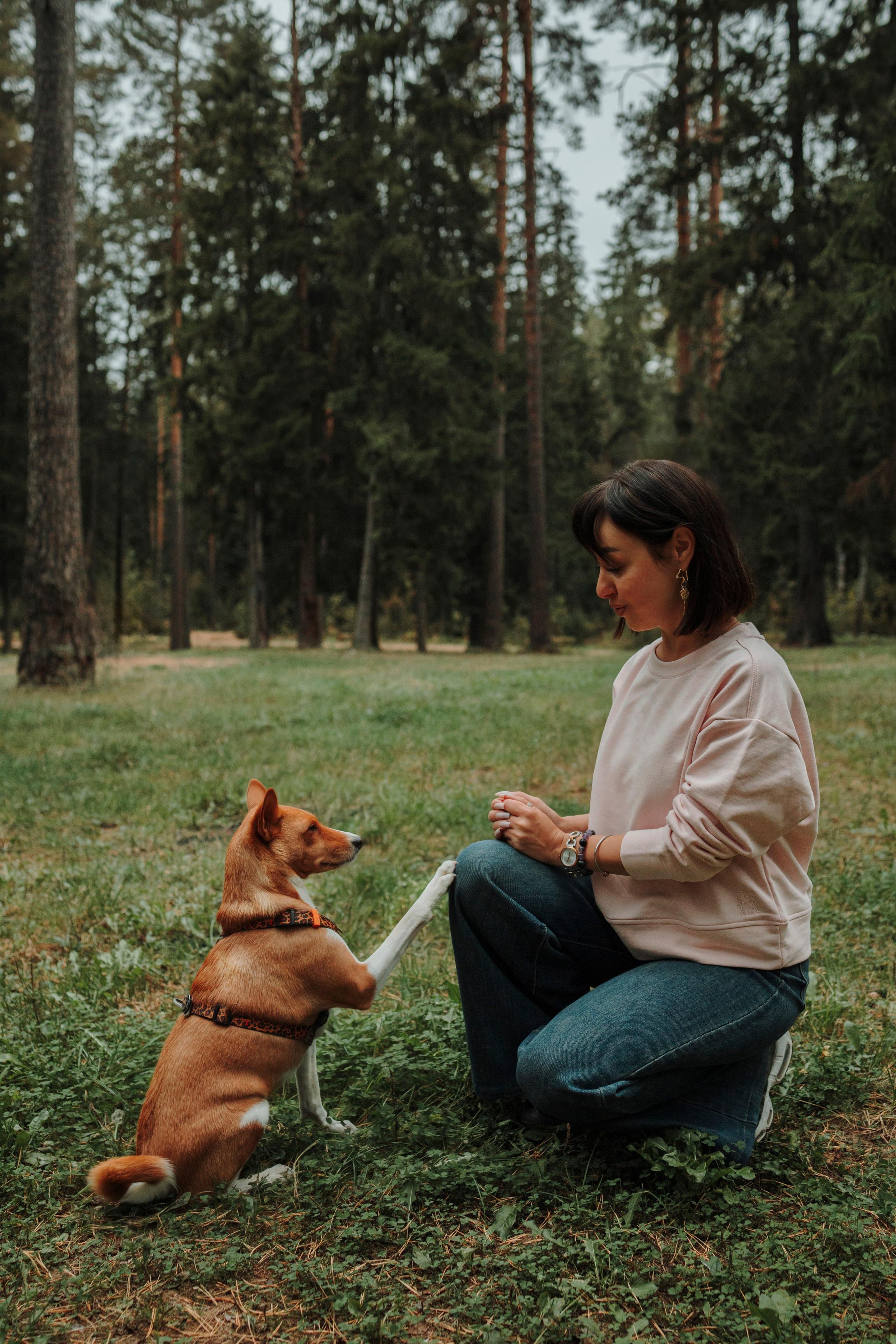 Даша и Лора. Фотограф-анималист в Санкт-Петеребурге Титова Алиса