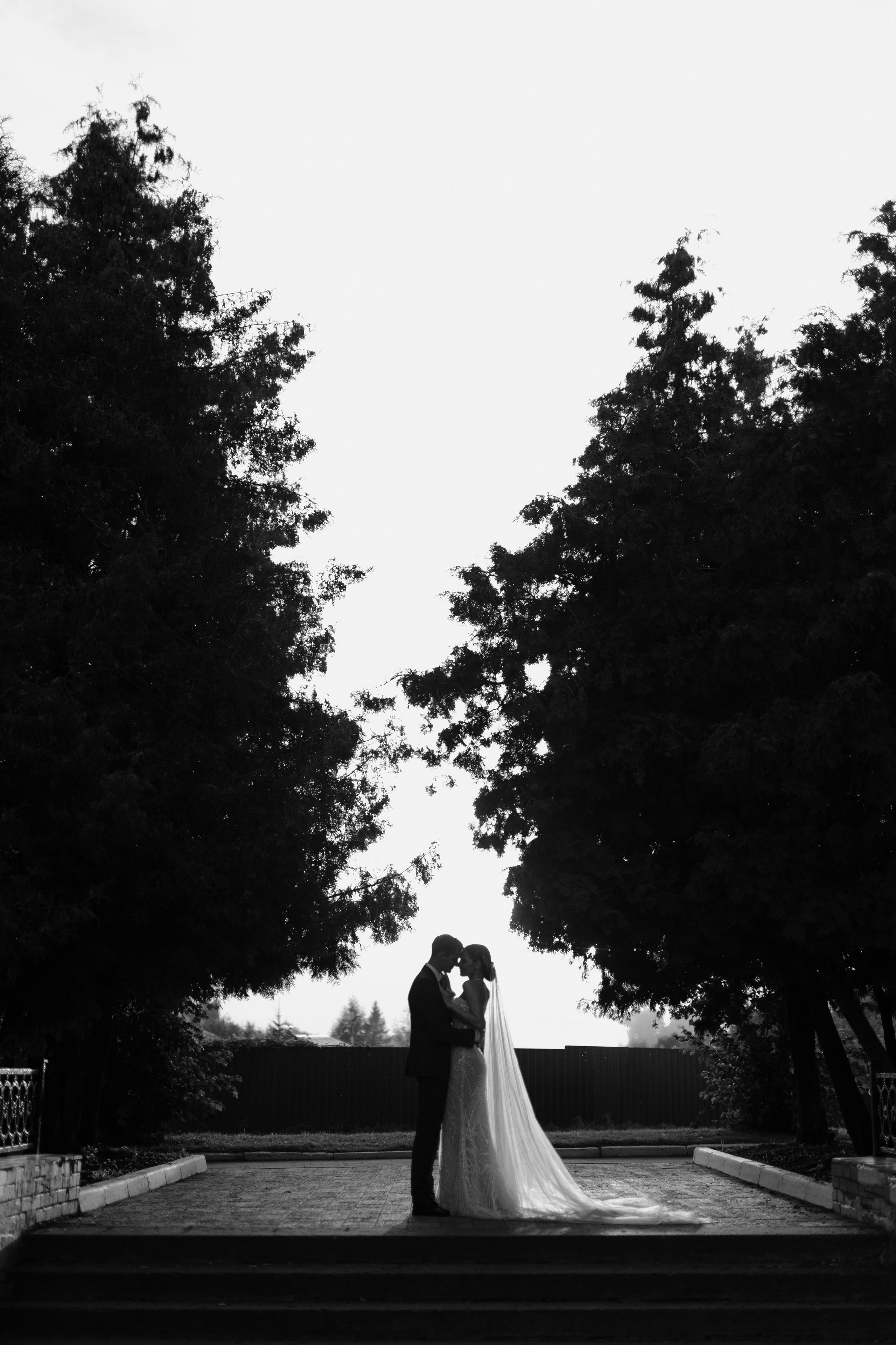 Свадьба Александра и Полины. Фотограф Кольчугино/Владимир/Москва Елизавета Иода