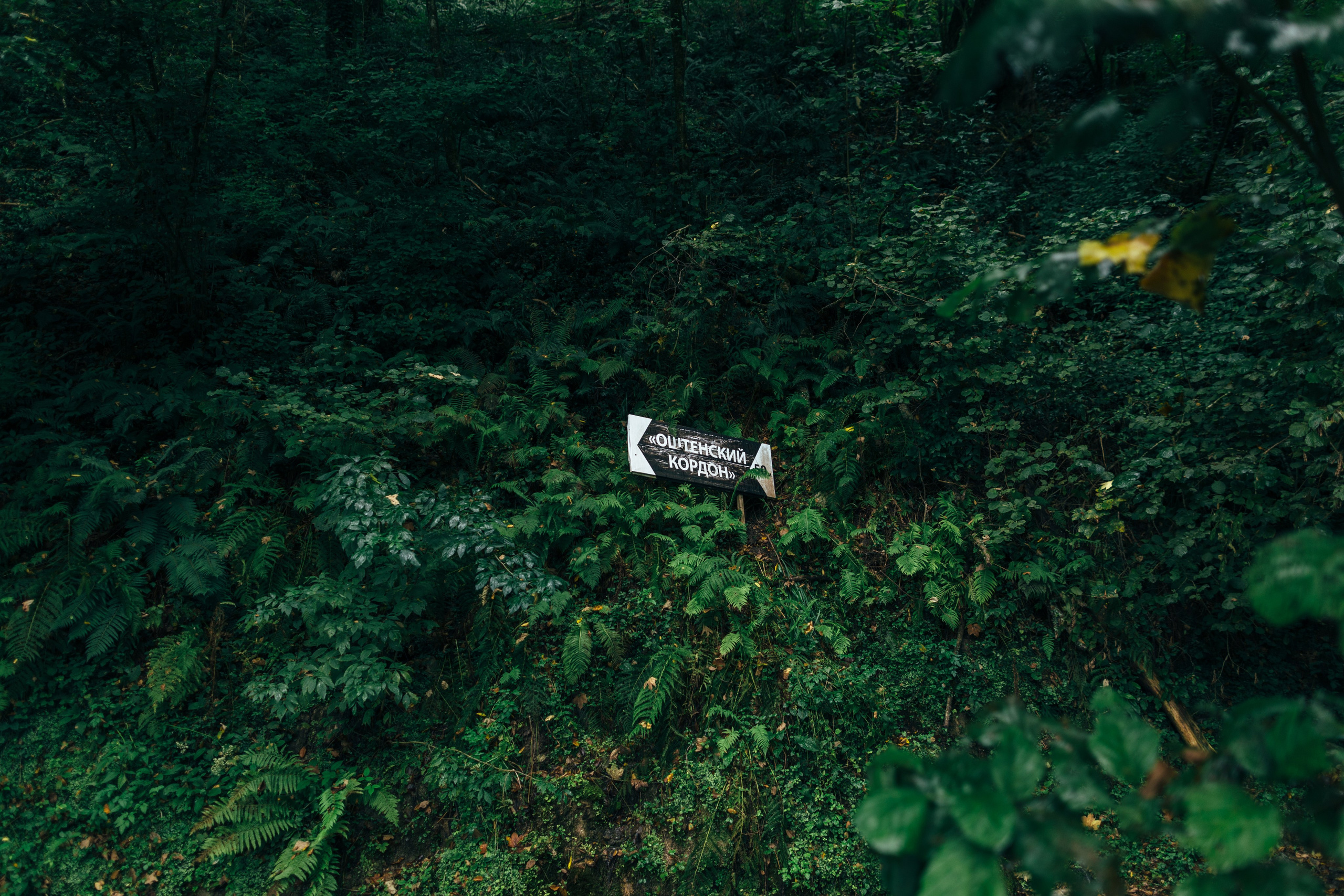 Оштенский Кордон. Семейный фотограф в Белгороде