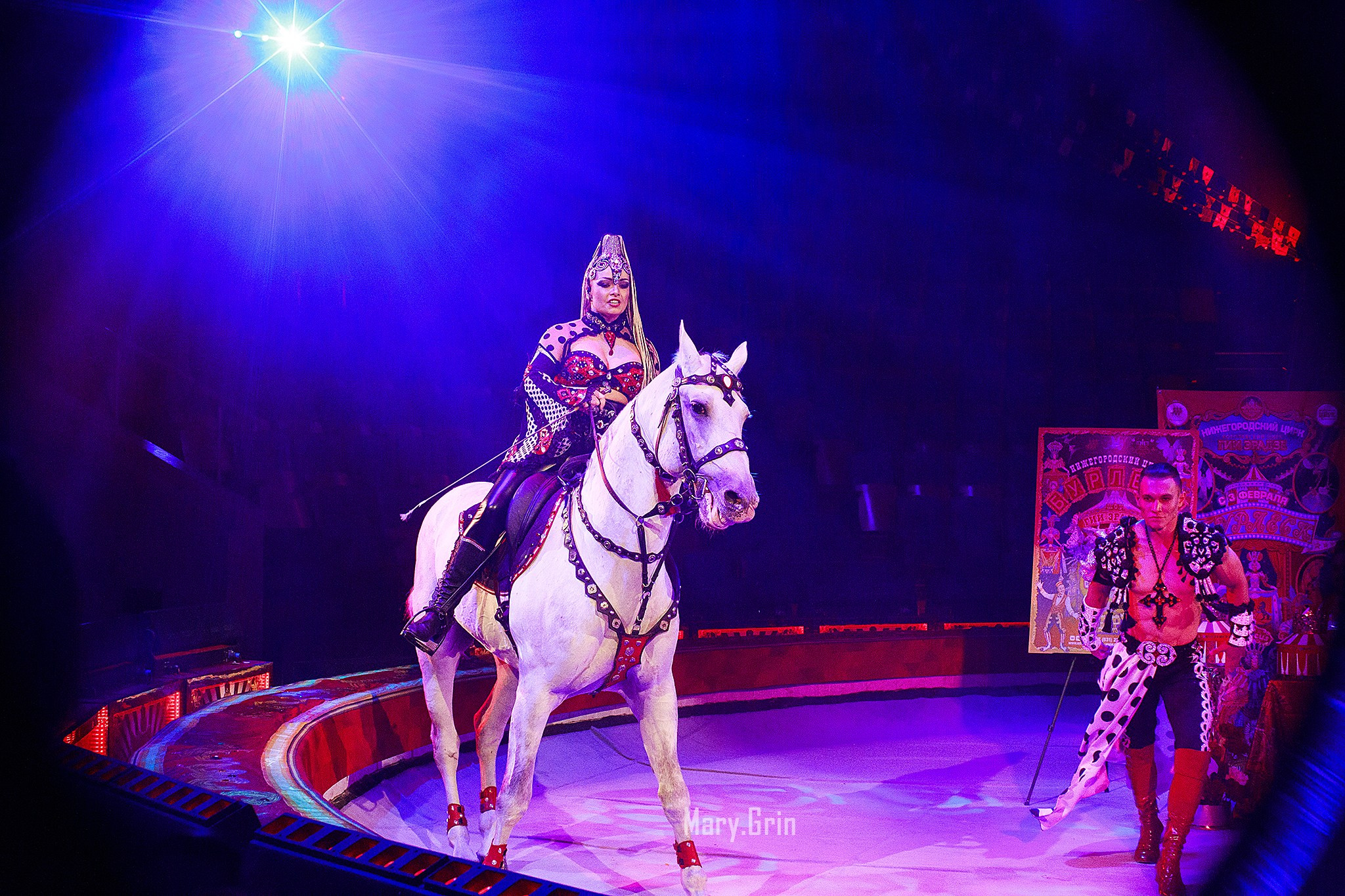 Цирк Гии Эрадзе. Детский и семейный фотограф, фотограф мероприятий Нижний Новгород