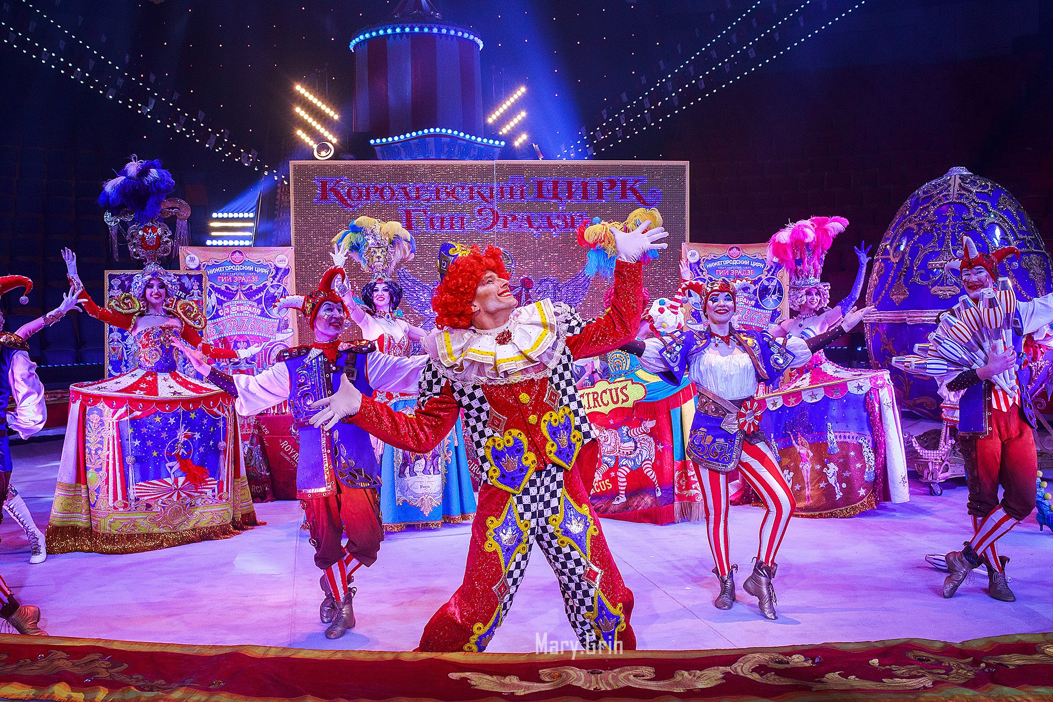 Цирк Гии Эрадзе. Детский и семейный фотограф, фотограф мероприятий Нижний Новгород
