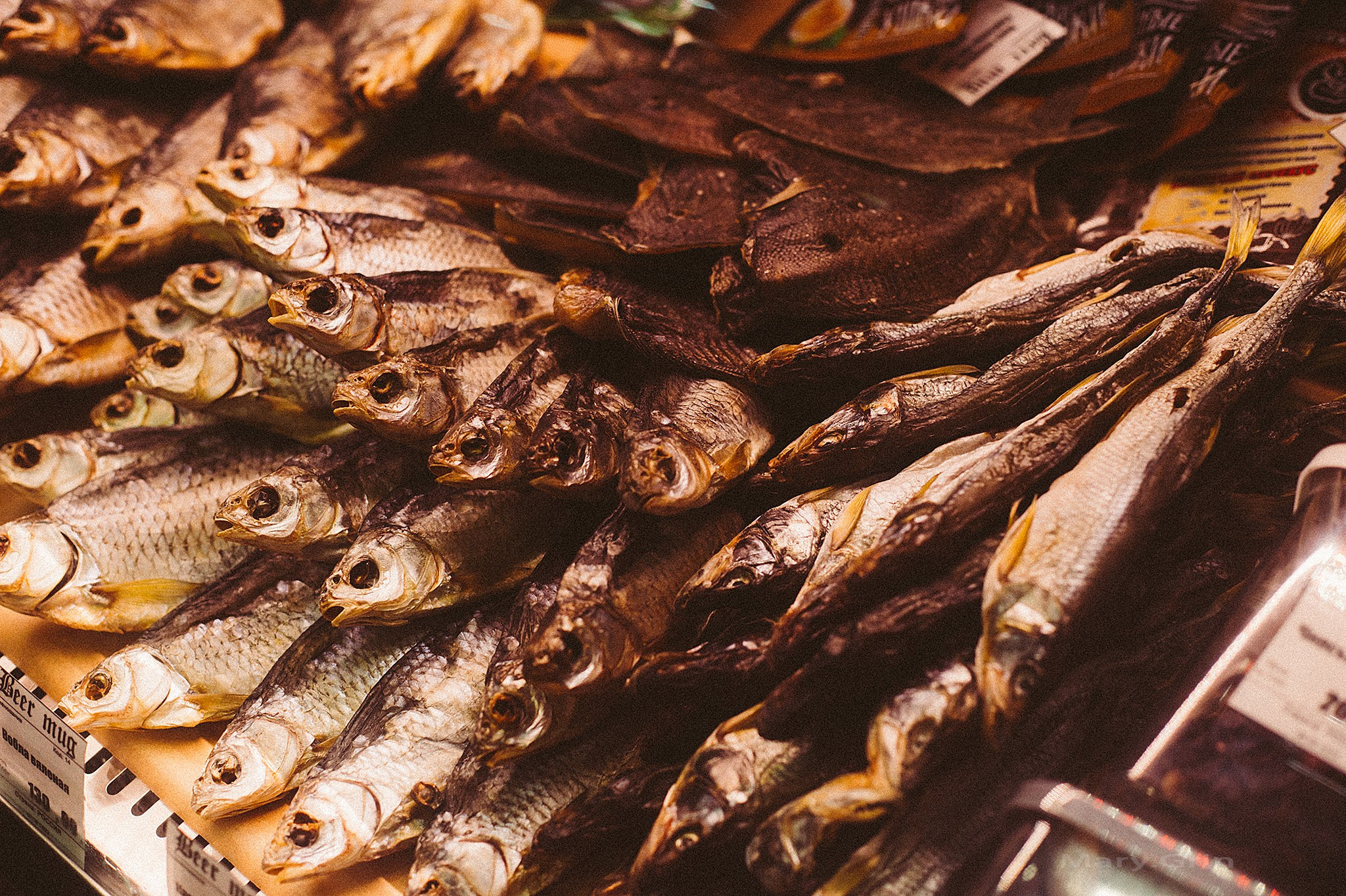 Открытие Beer mug. Детский и семейный фотограф, фотограф мероприятий Нижний Новгород