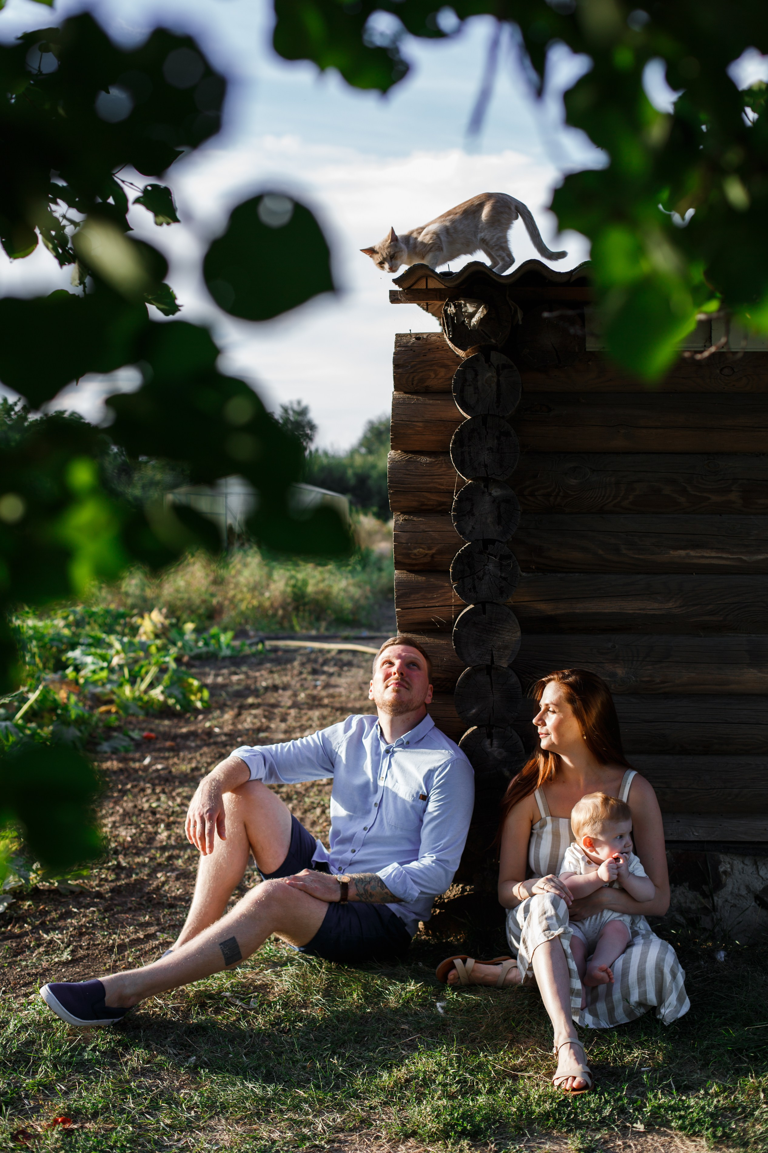 Солнце, ветер и любовь. Главная