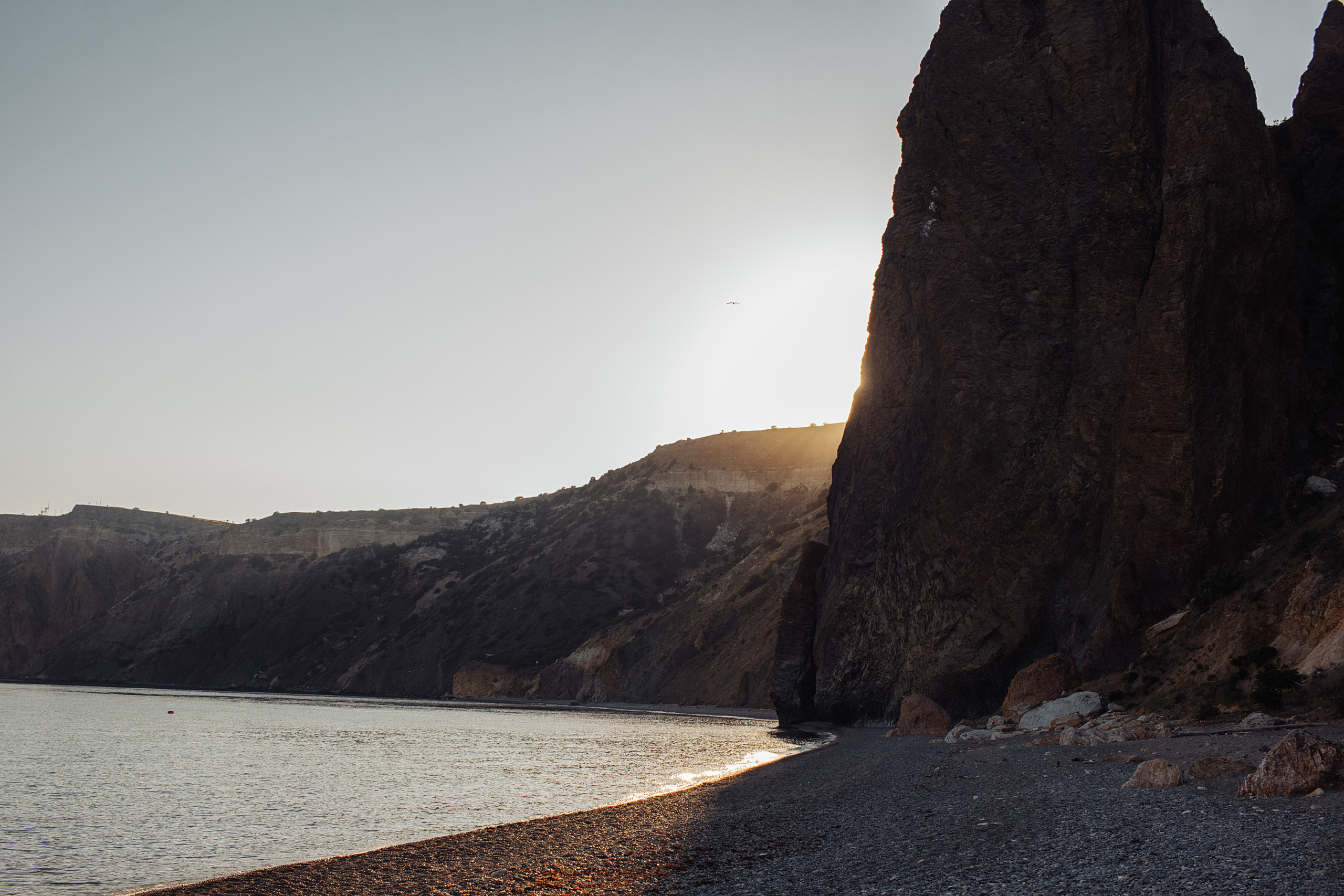 Алексей и Анастасия. Фотограф Виктор Курий
